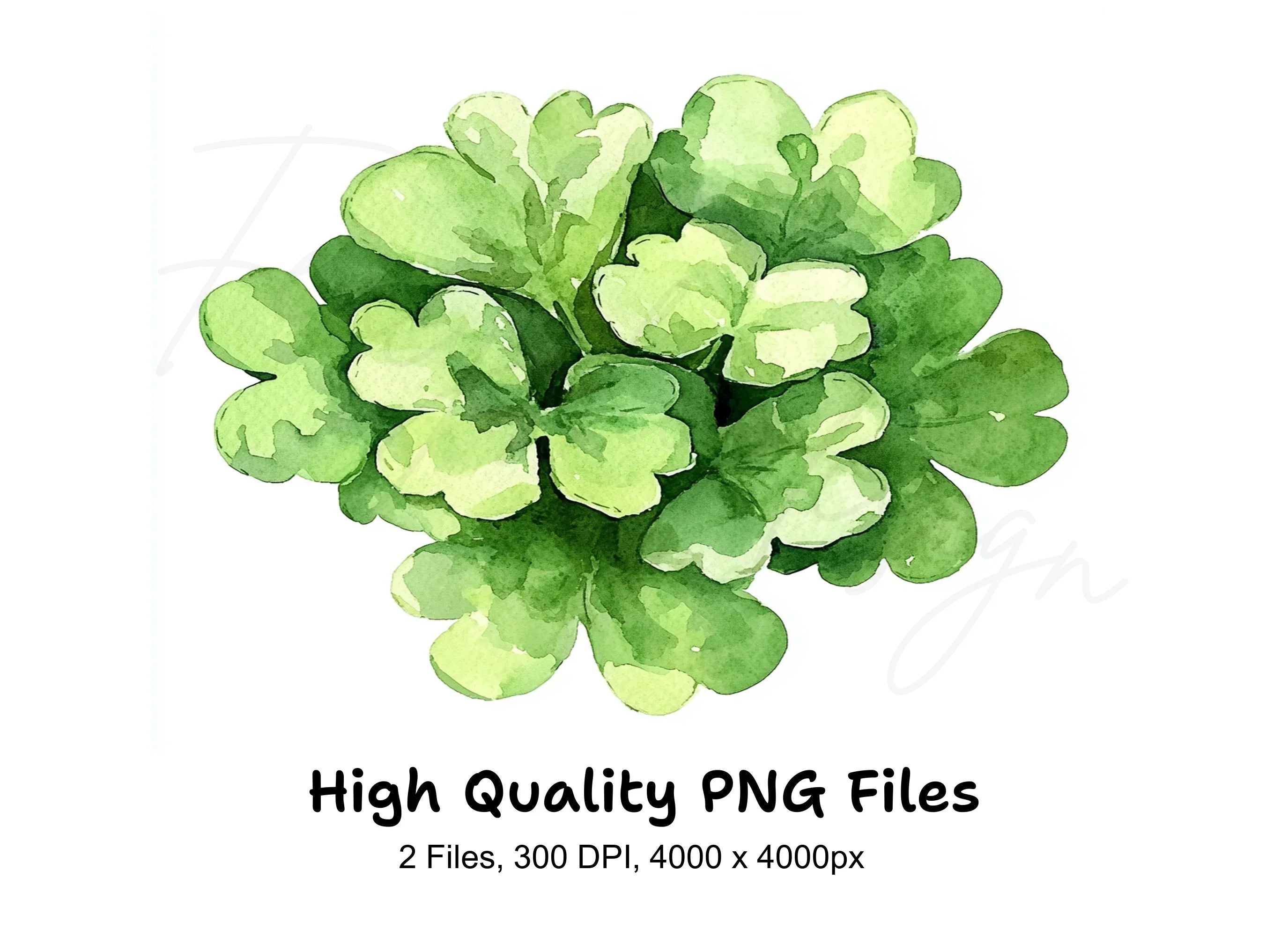 Top View Clover Clipart Bundle