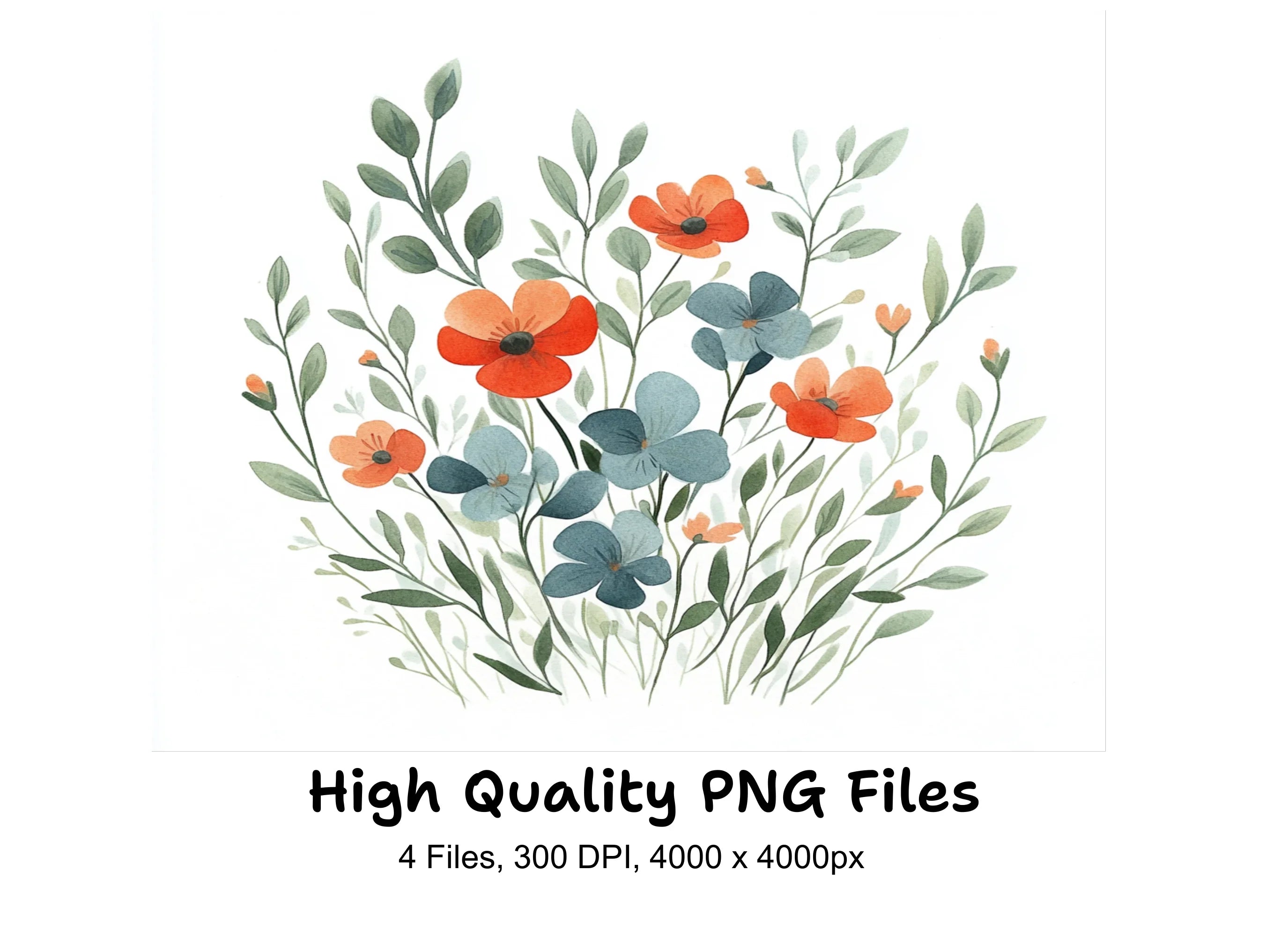 Eucalyptus and Poppy Clipart Bundle