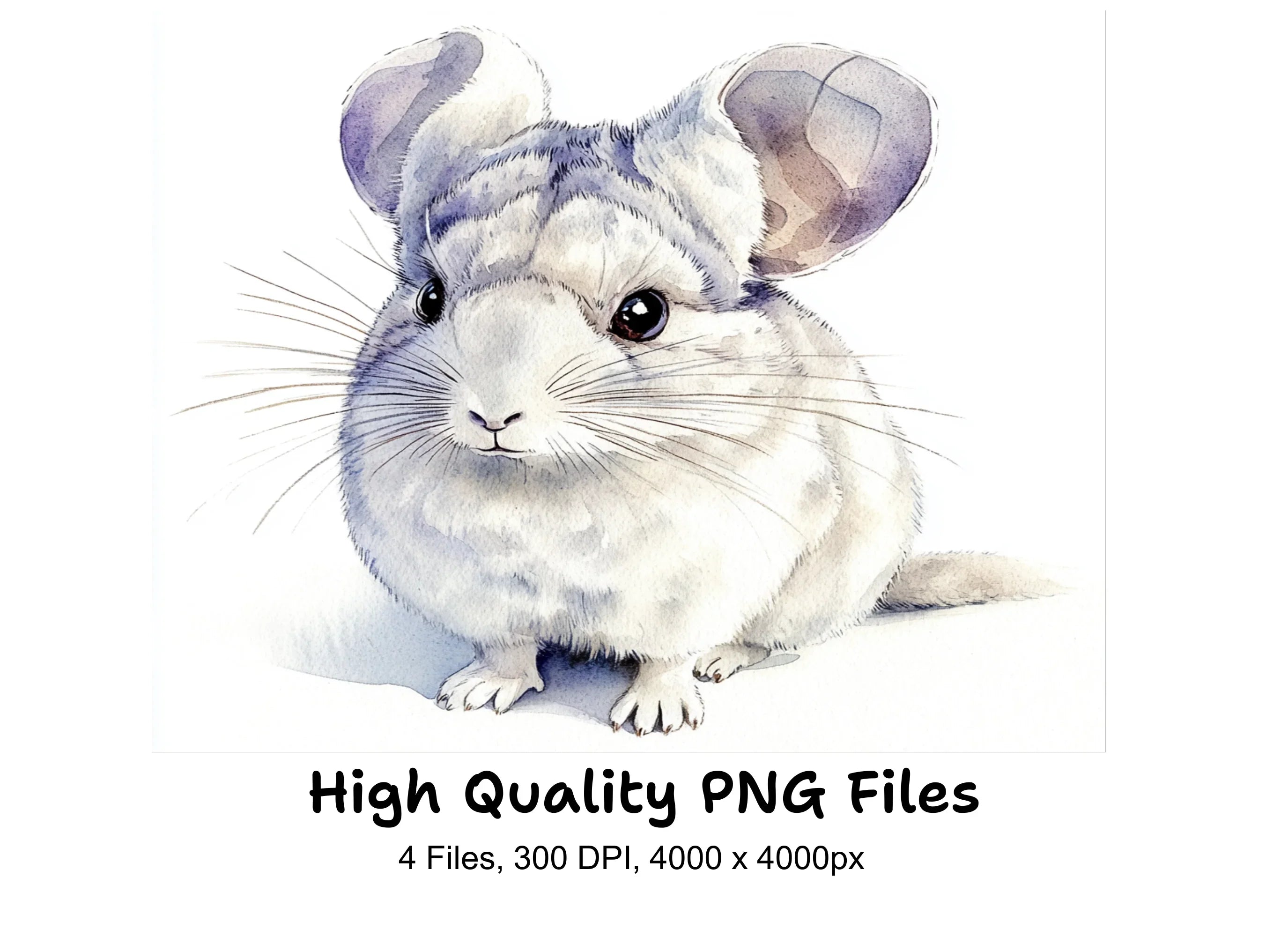 Cute Chinchilla Clipart Bundle