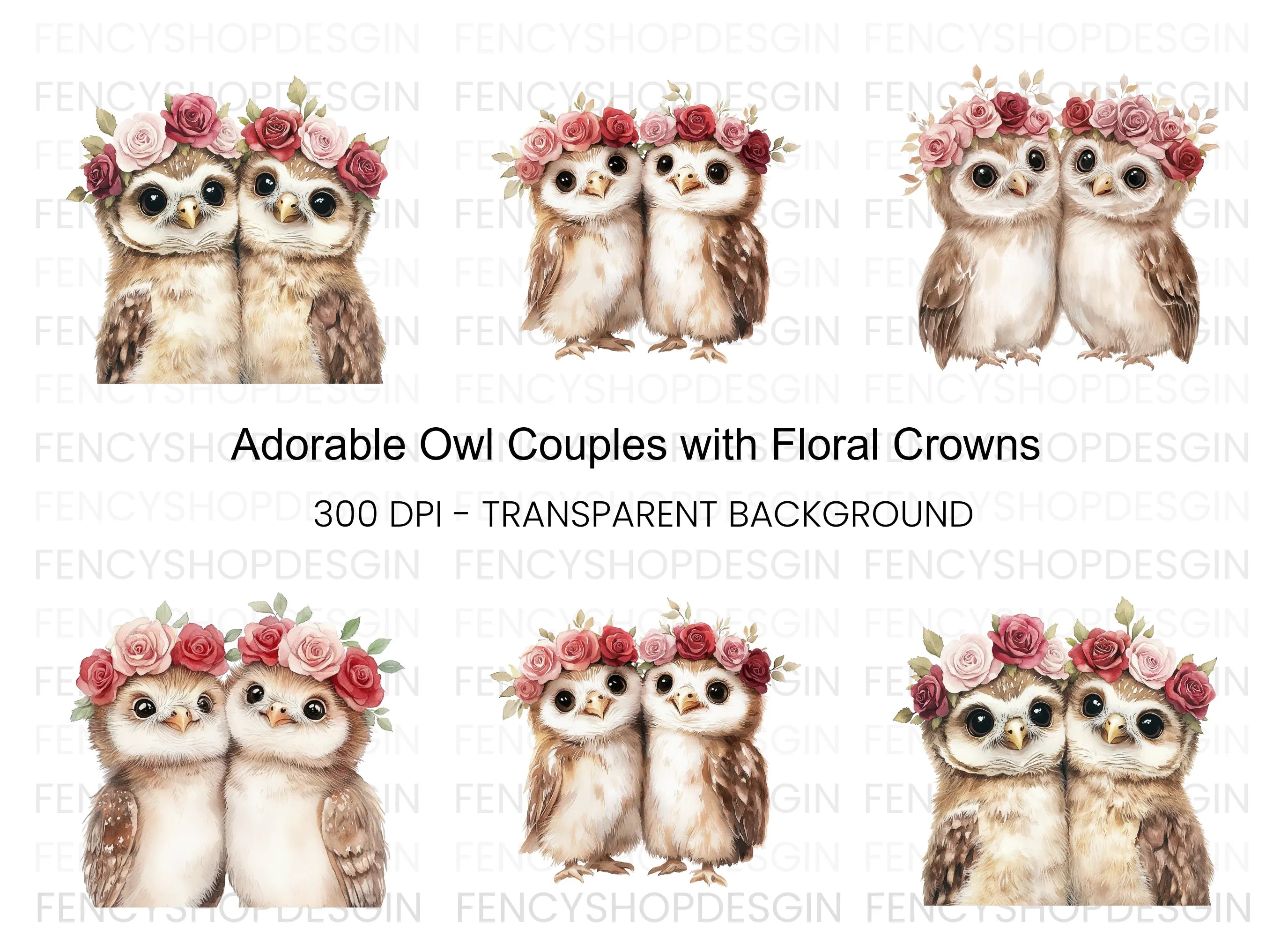 Cute Owl Couples with Flower Crowns Clipart Bundle
