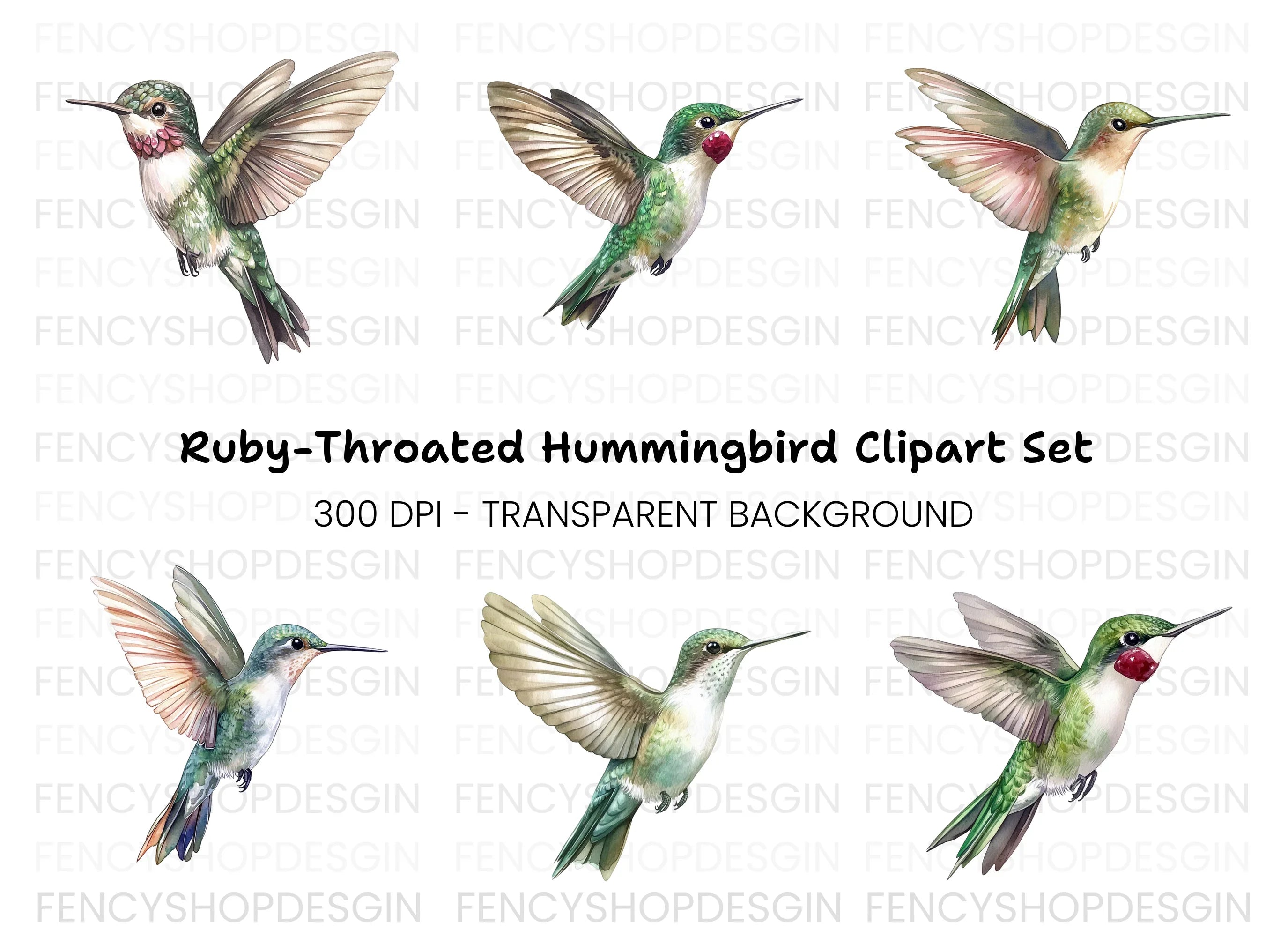 Hummingbird Clipart Bundle