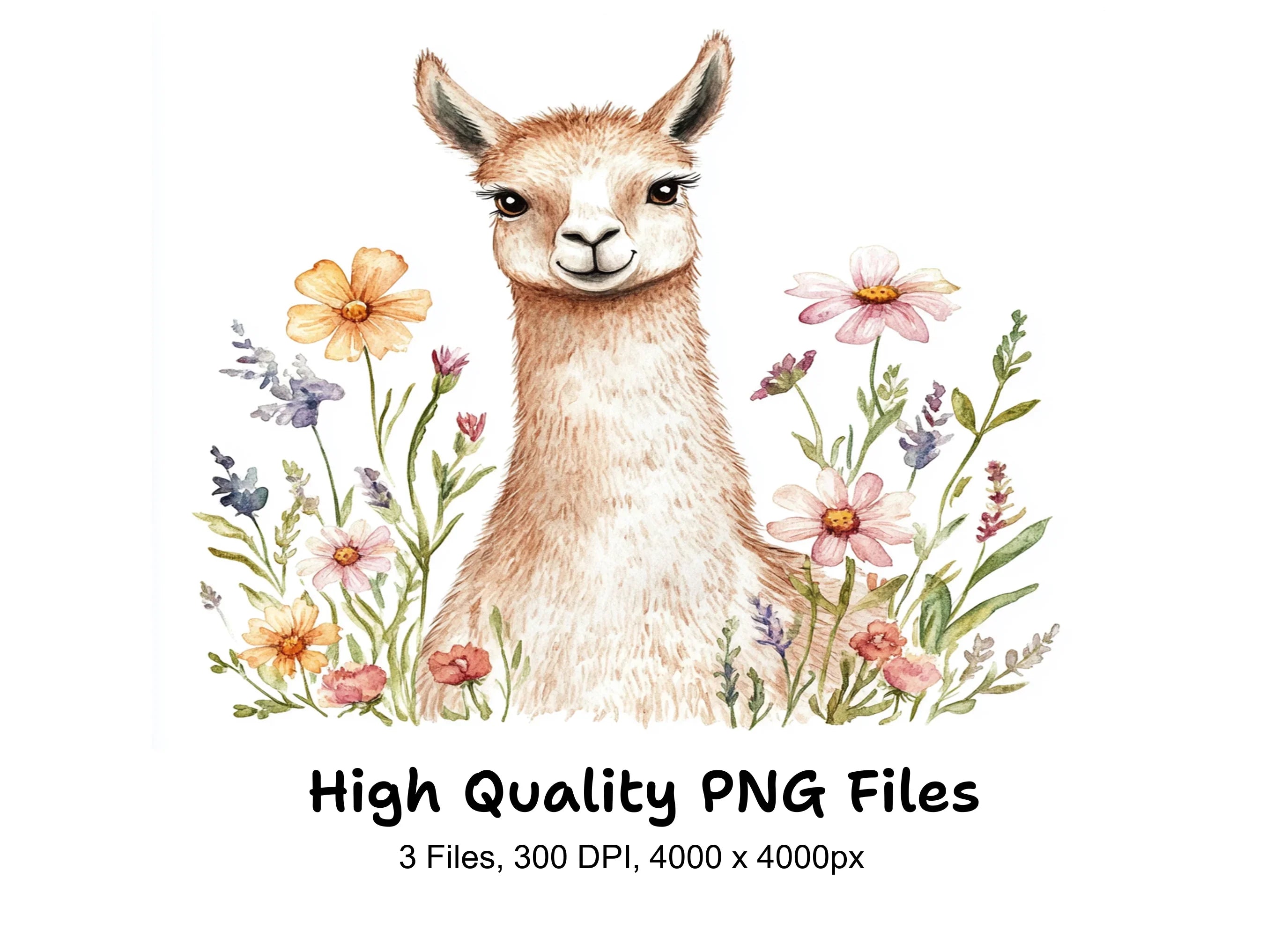 Llama in Wildflower Fields Clipart Bundle