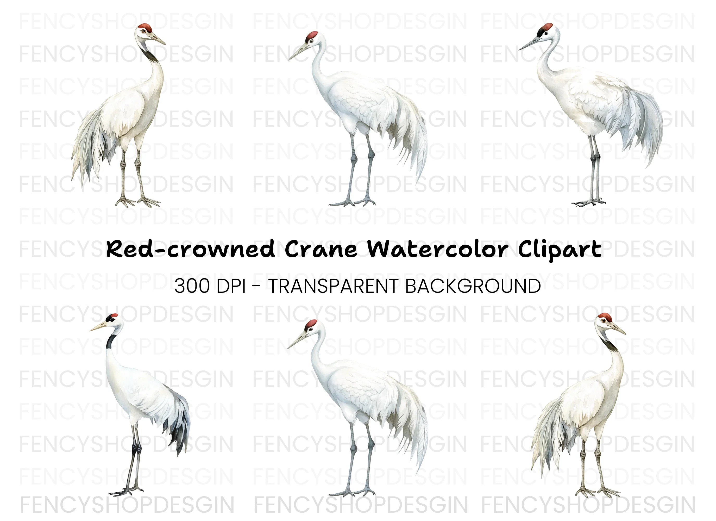 Majestic White Crane Clipart Bundle