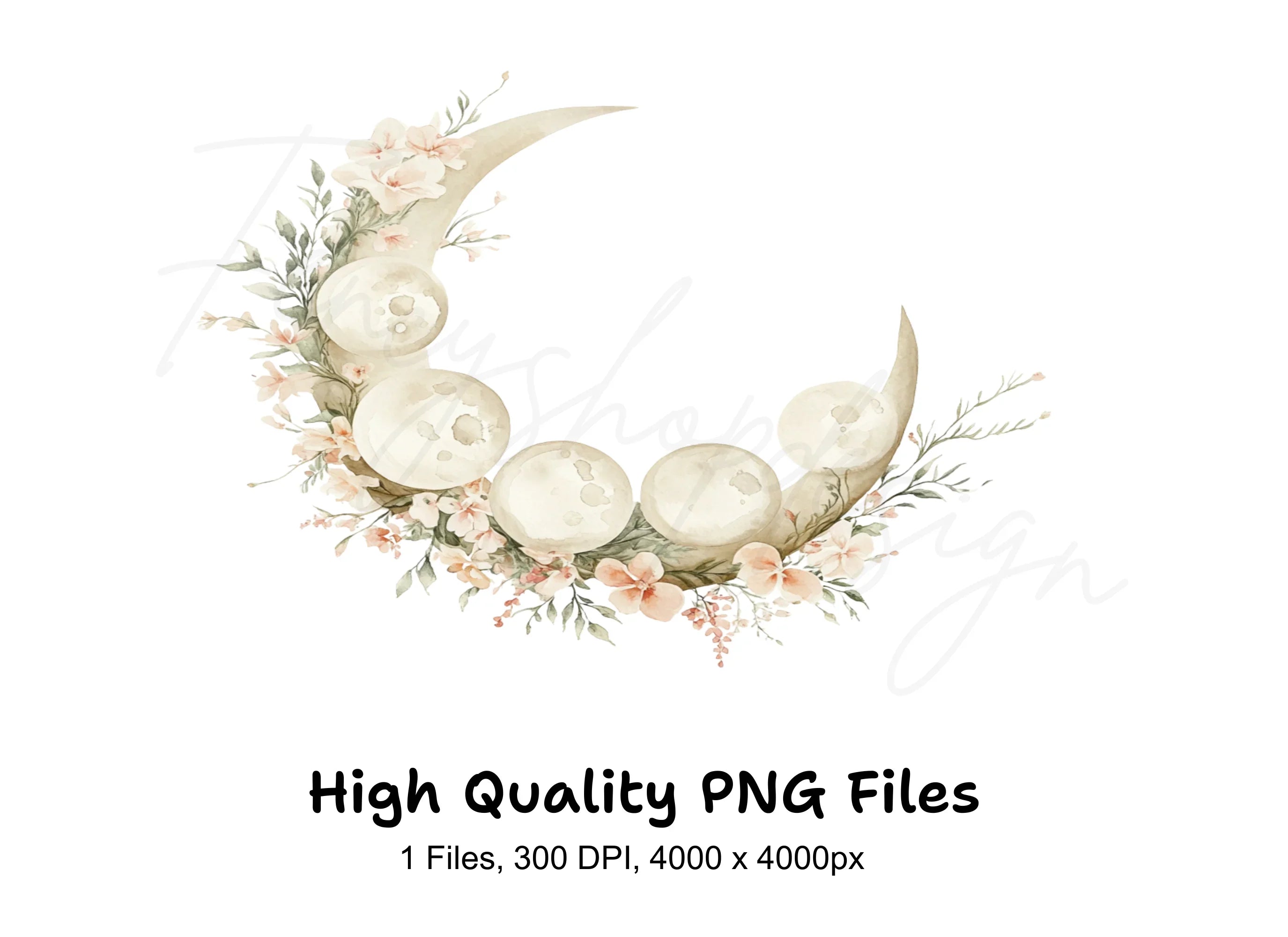 Floral Moon Phases Clipart Bundle