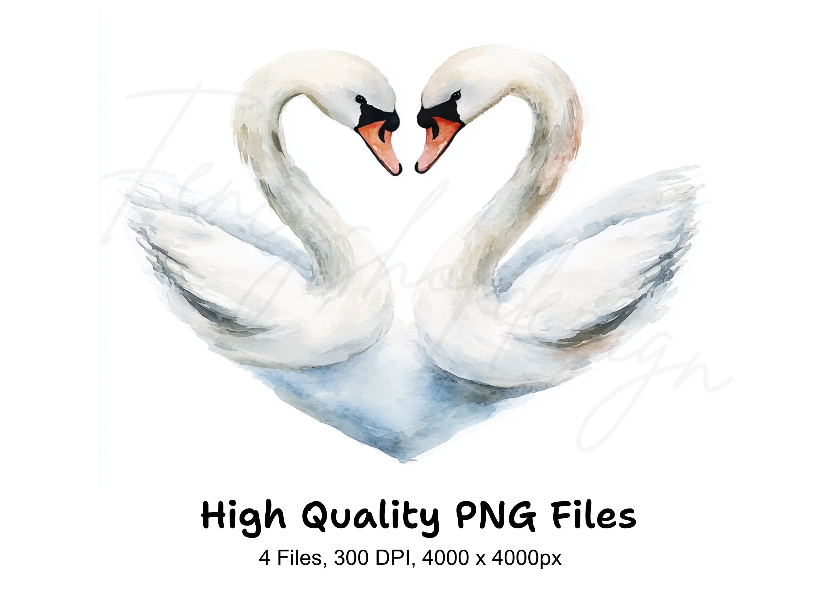 Swans Heart Clipart Bundle