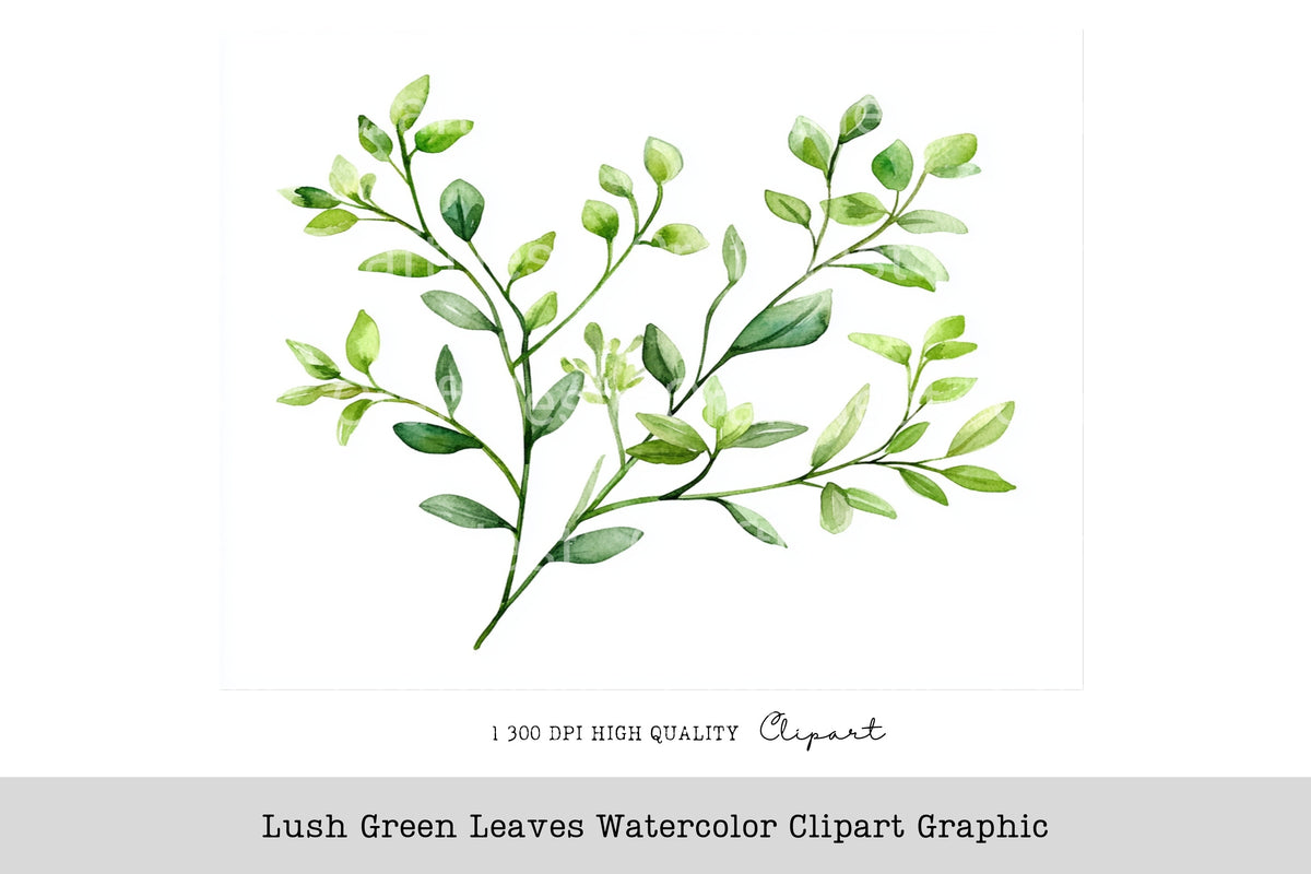 Lush Green Leaves Graphic Clipart Bundle