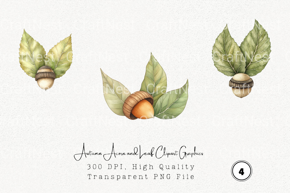 Autumn Acorn And Leaf Graphics Clipart Bundle