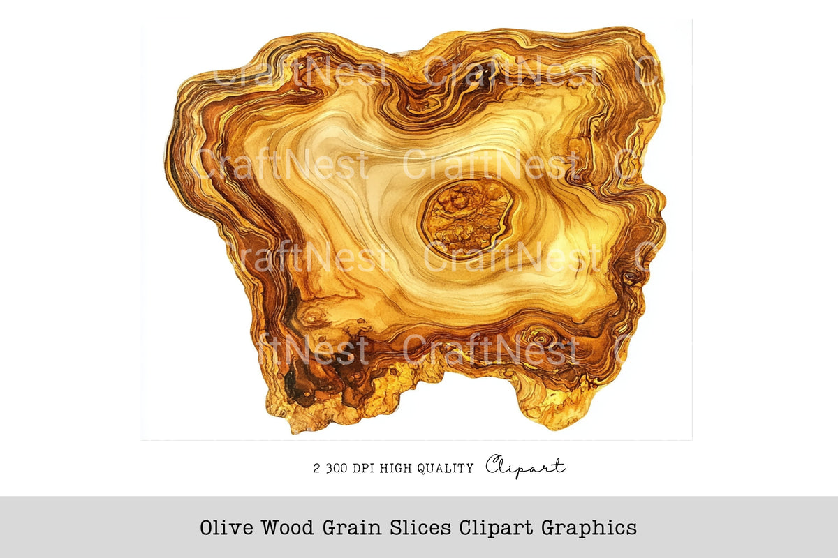 Olive Wood Grain Slices Graphics Clipart Bundle