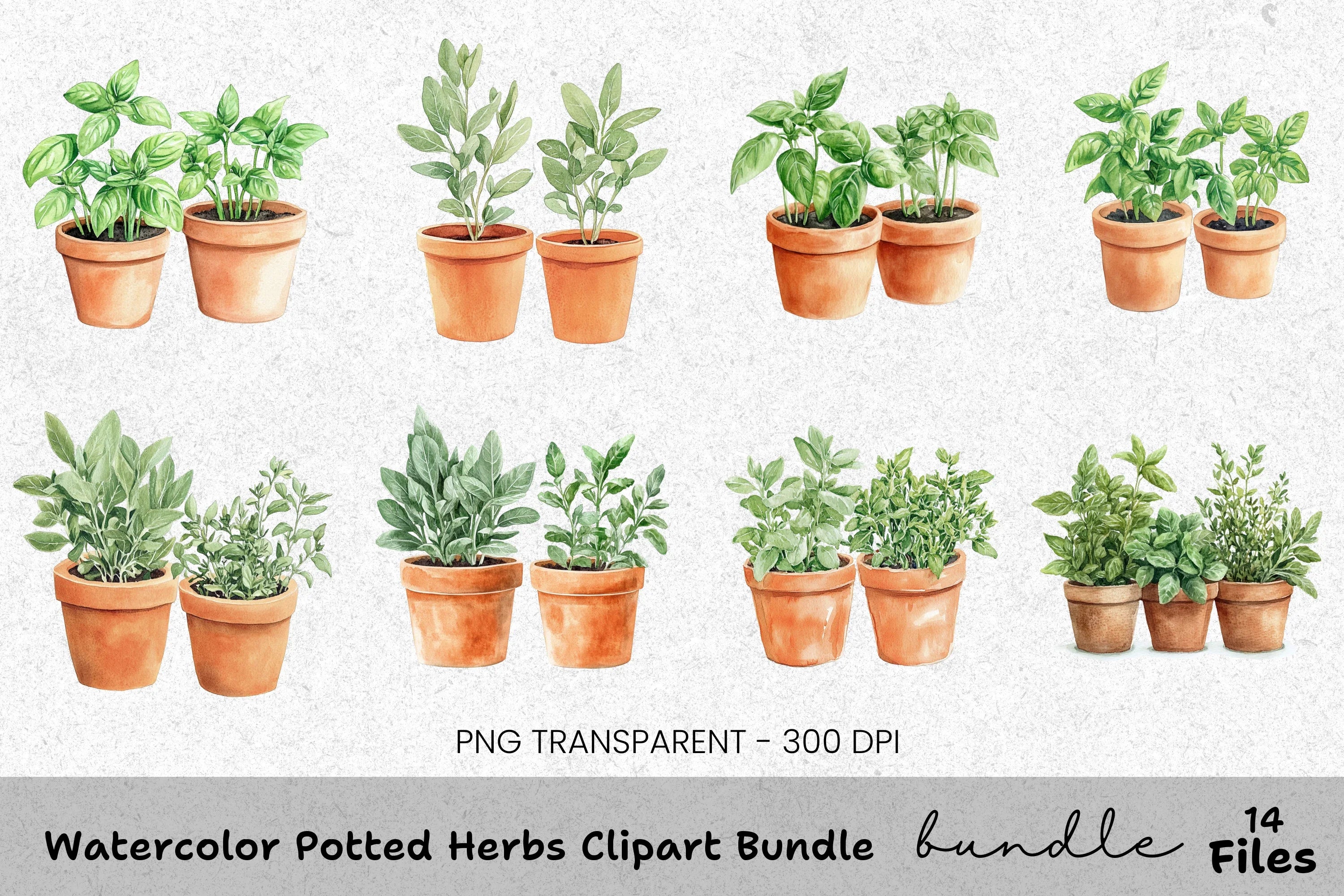 Potted Herbs Clipart Bundle