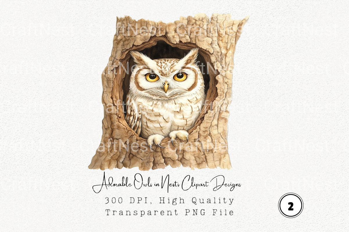 Adorable Owls In Nests Designs Clipart Bundle