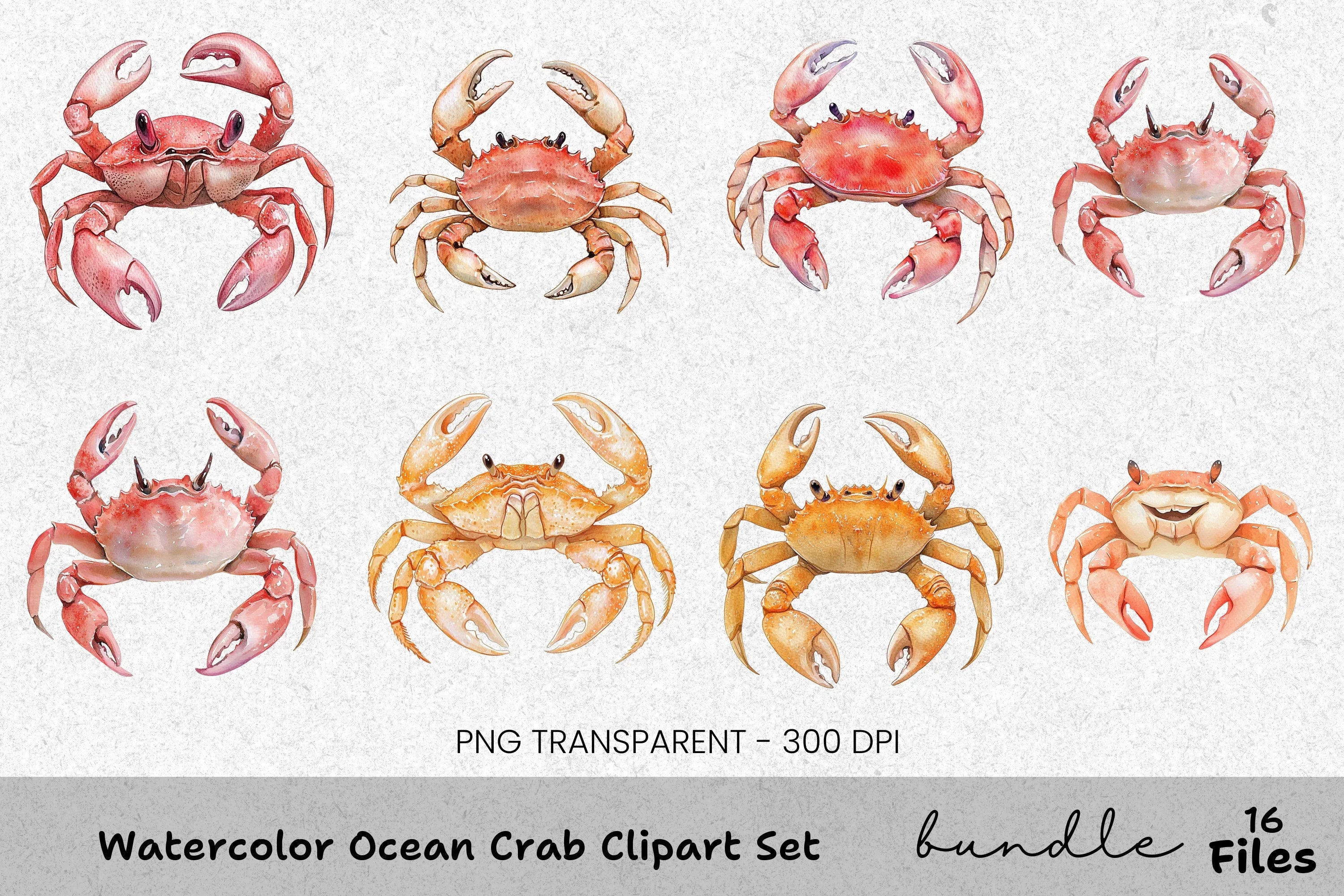 Ocean Crab Clipart Bundle