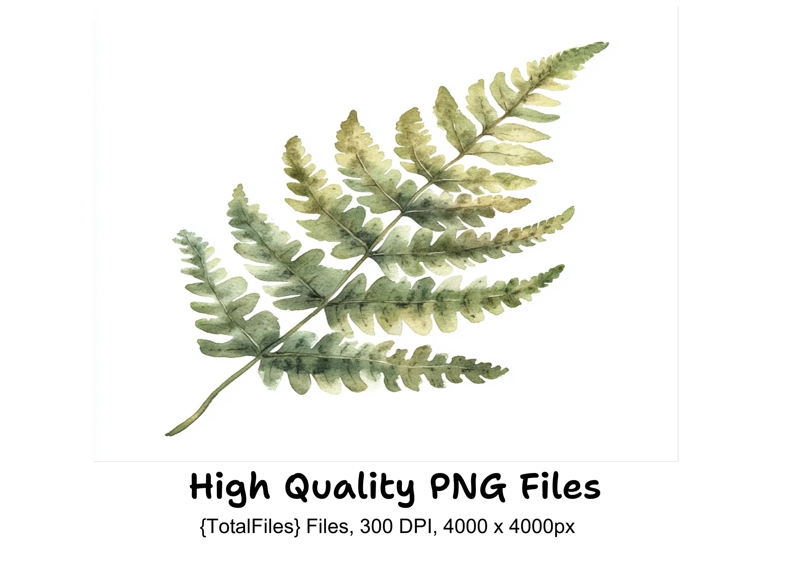 Fern Leaves Clipart Bundle