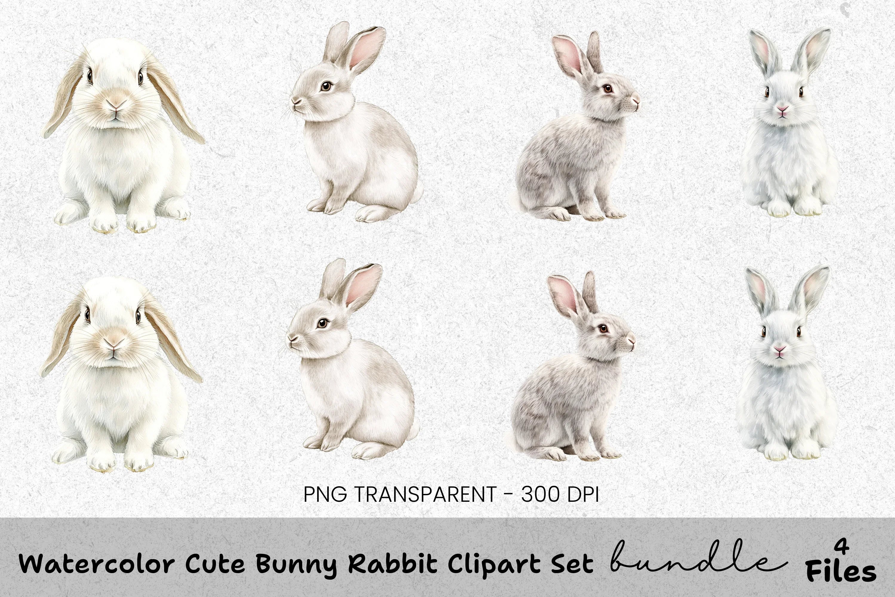 Cute Bunny Rabbit Clipart Bundle