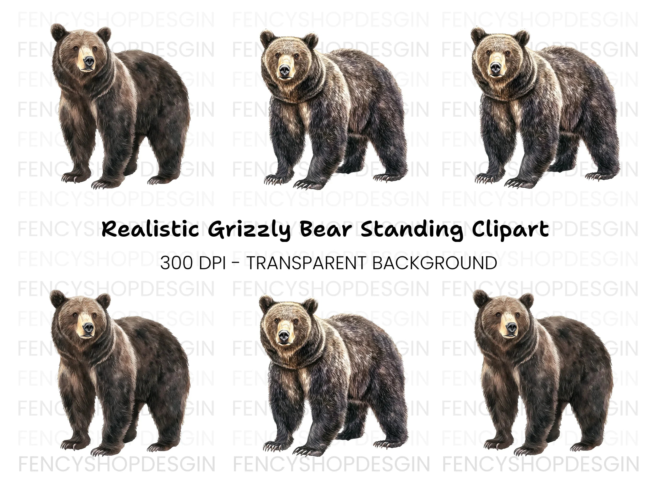 Standing Grizzly Bear Duo Clipart Bundle