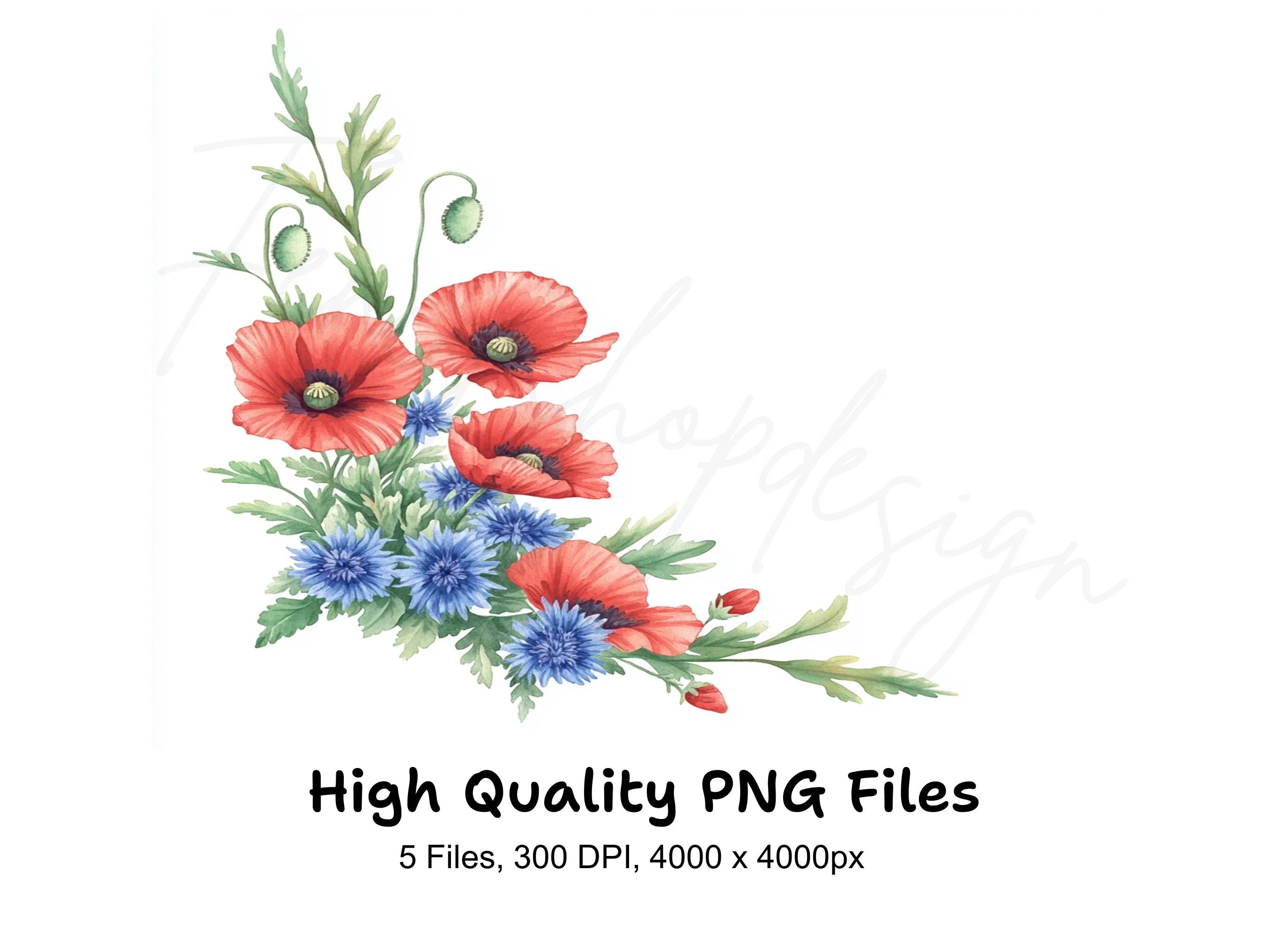 Poppy Cornflower Corners Clipart Bundle
