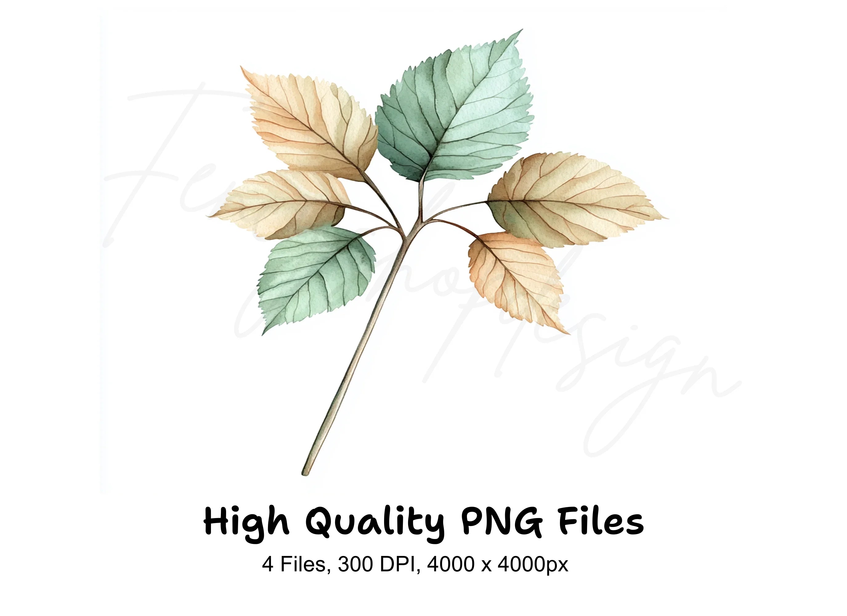 Autumn Leaves Clipart Bundle