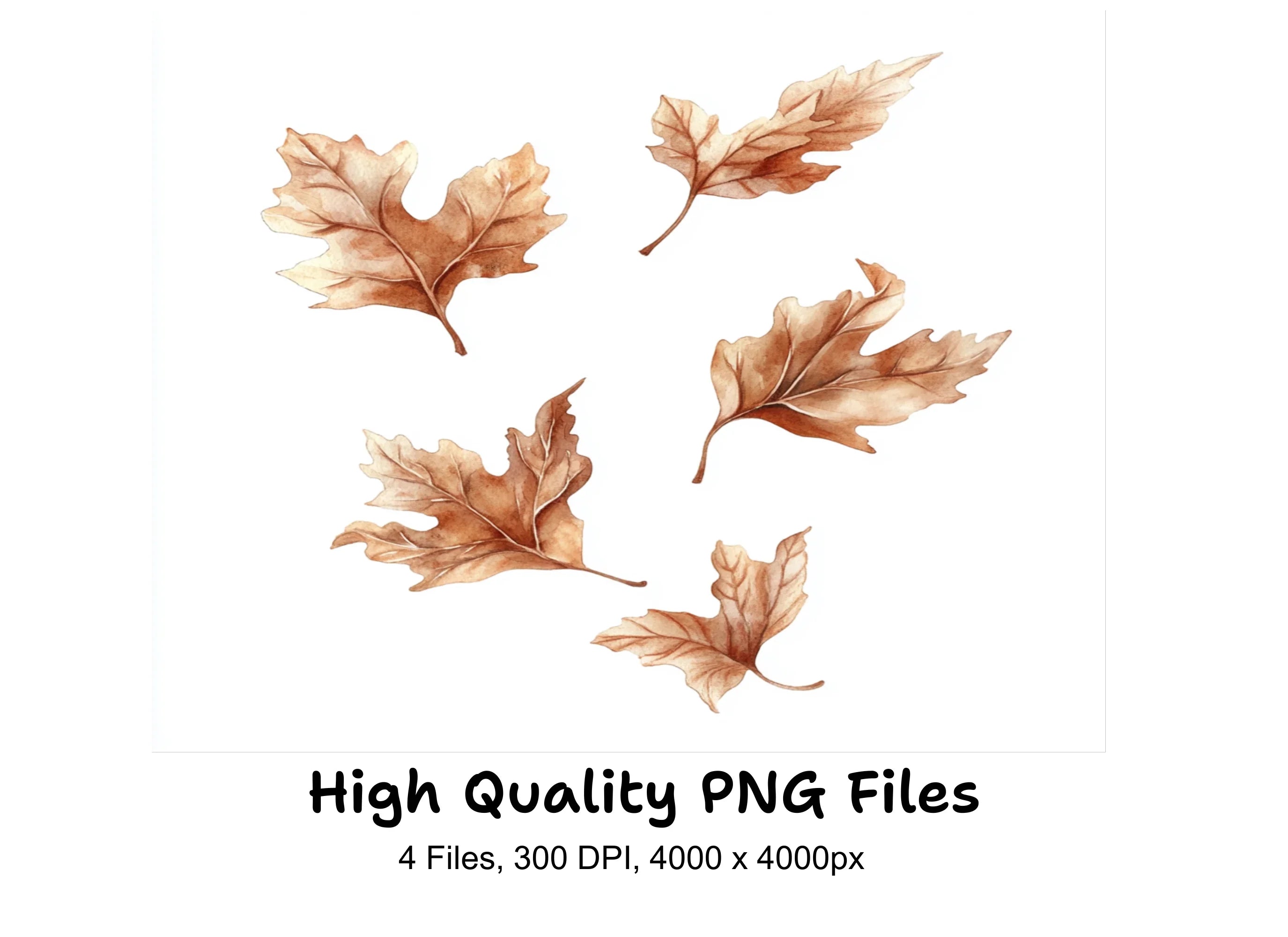 Autumn Leaves Clipart Bundle