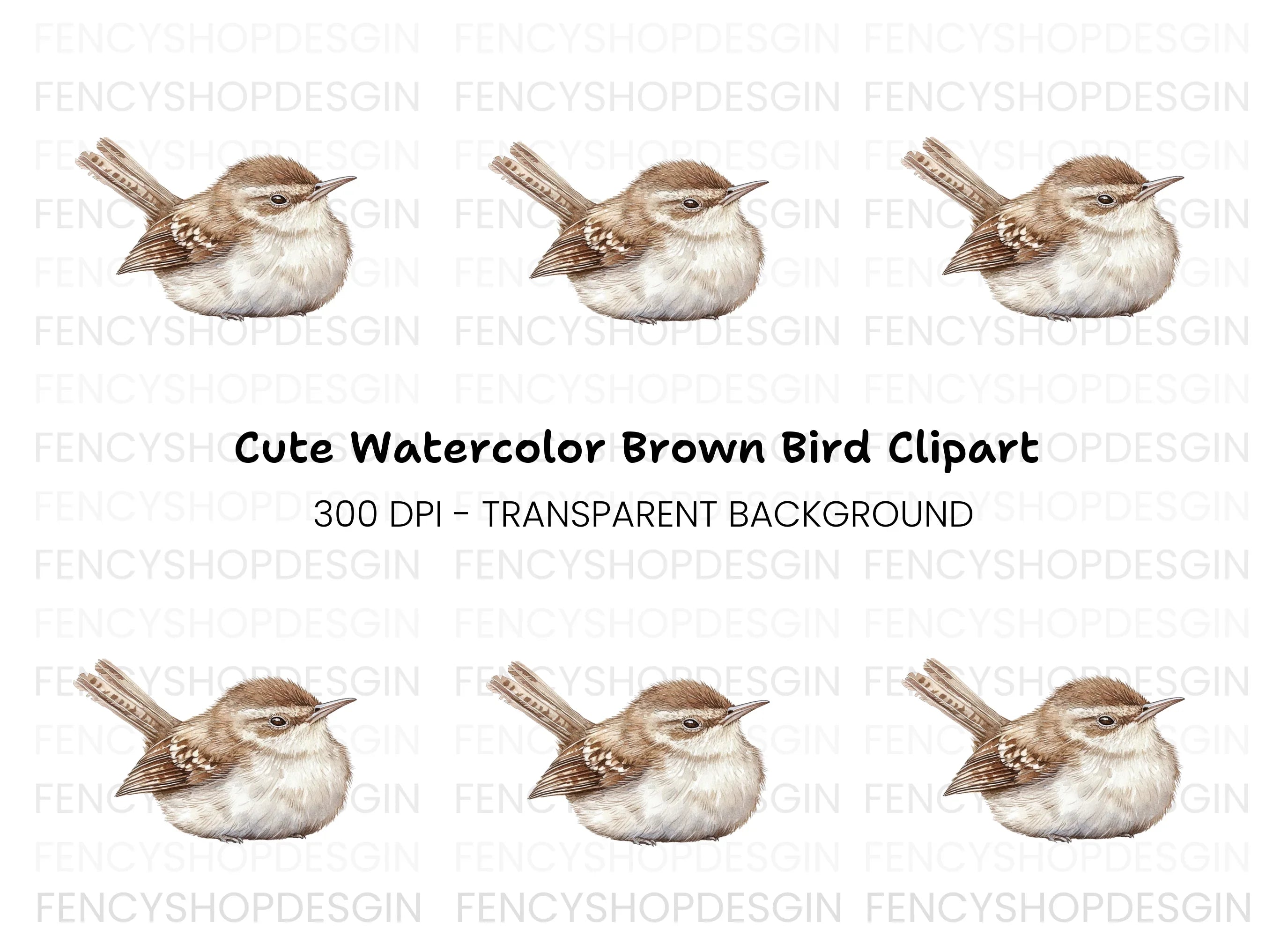 Cute Wren Bird Clipart Bundle