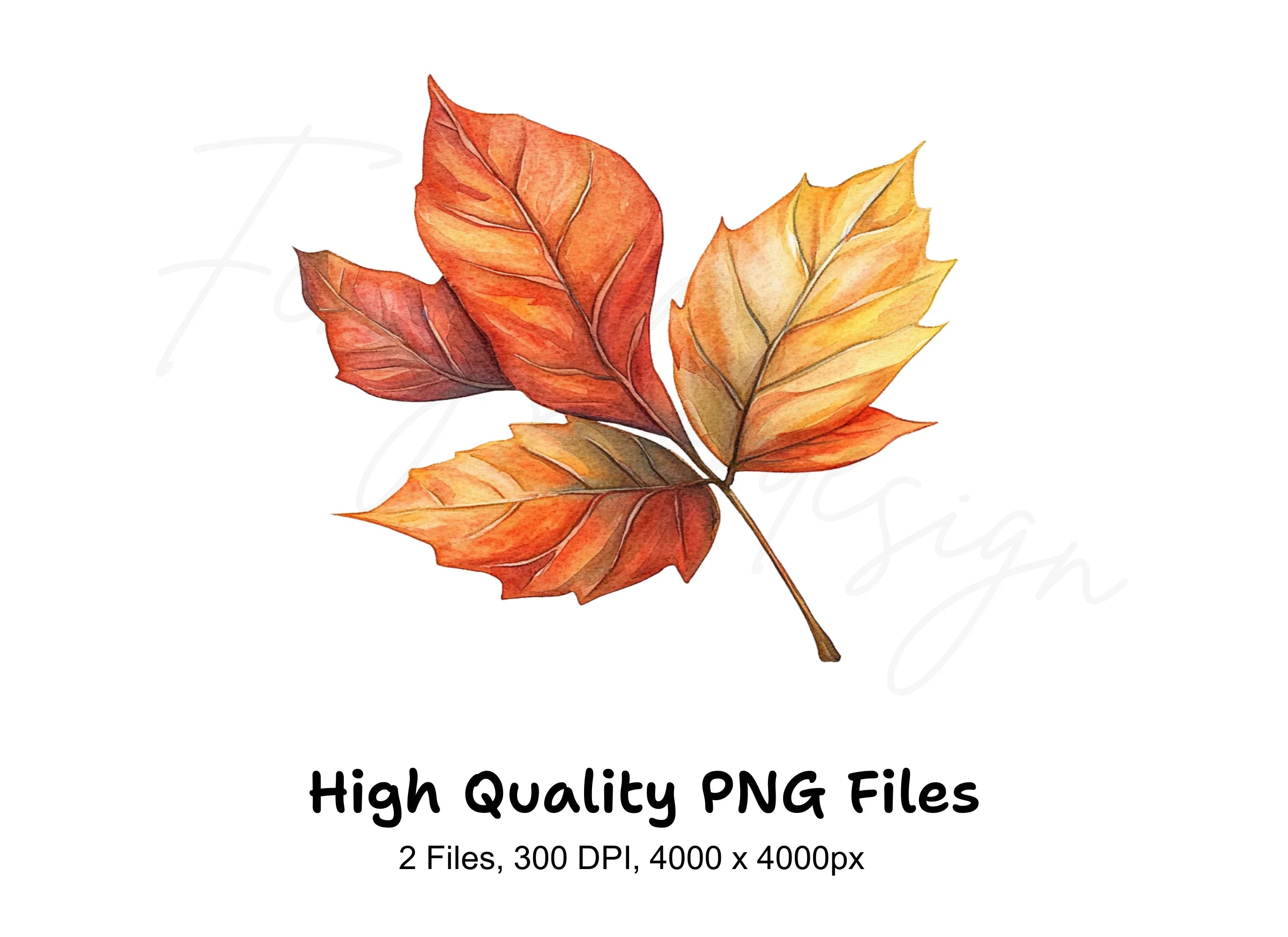 Autumn Leaves Clipart Bundle