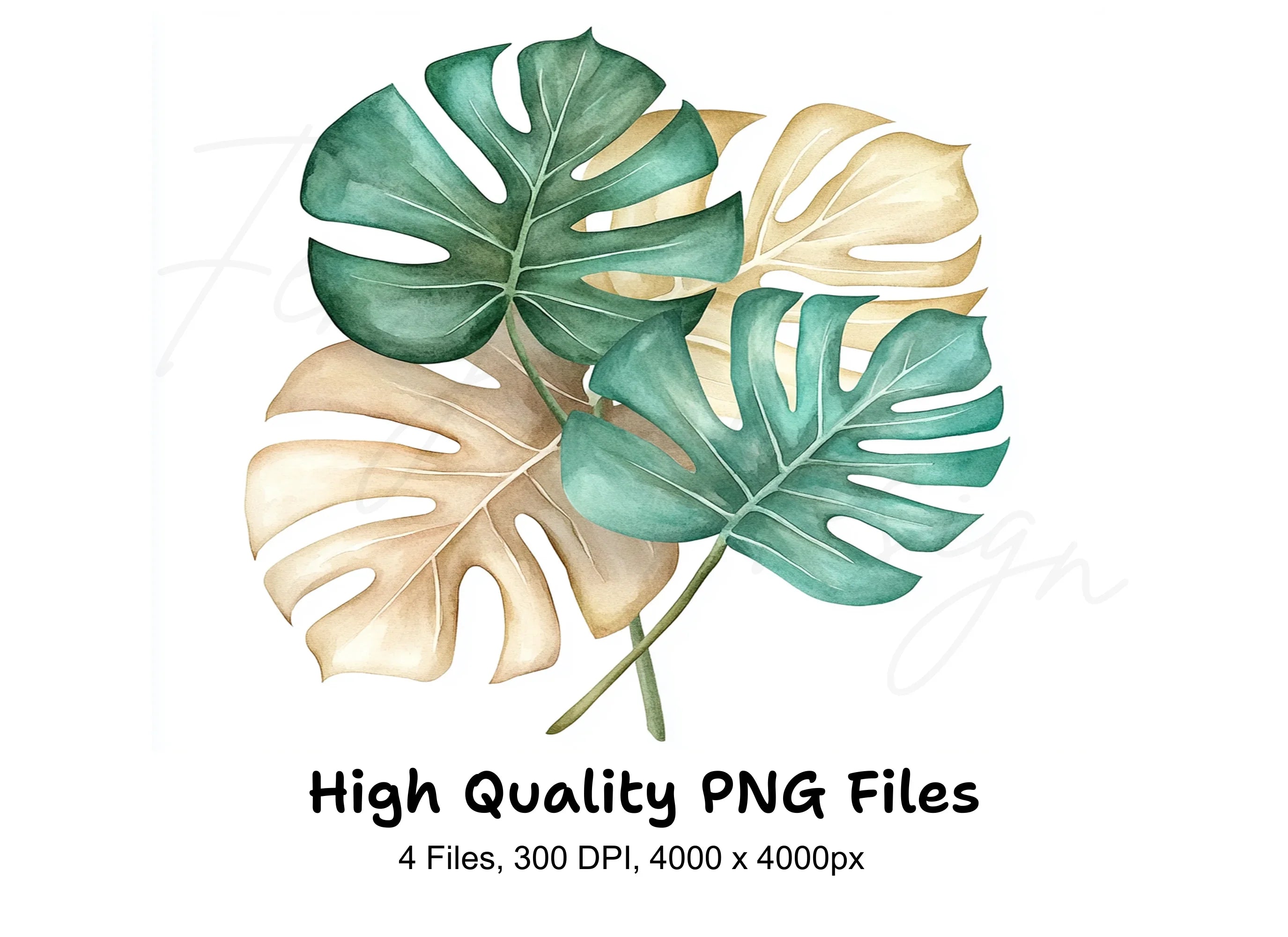 Monstera Leaves Clipart Bundle