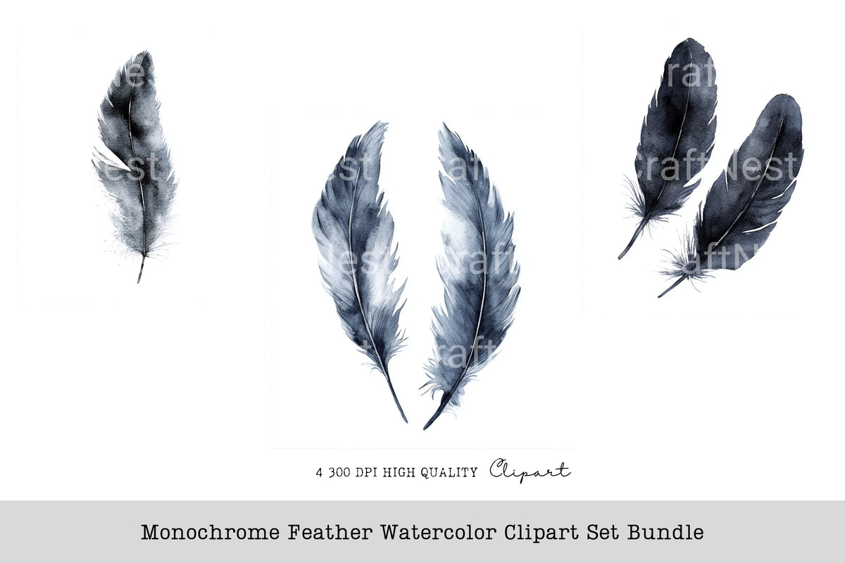 Monochrome Feather Clipart Bundle