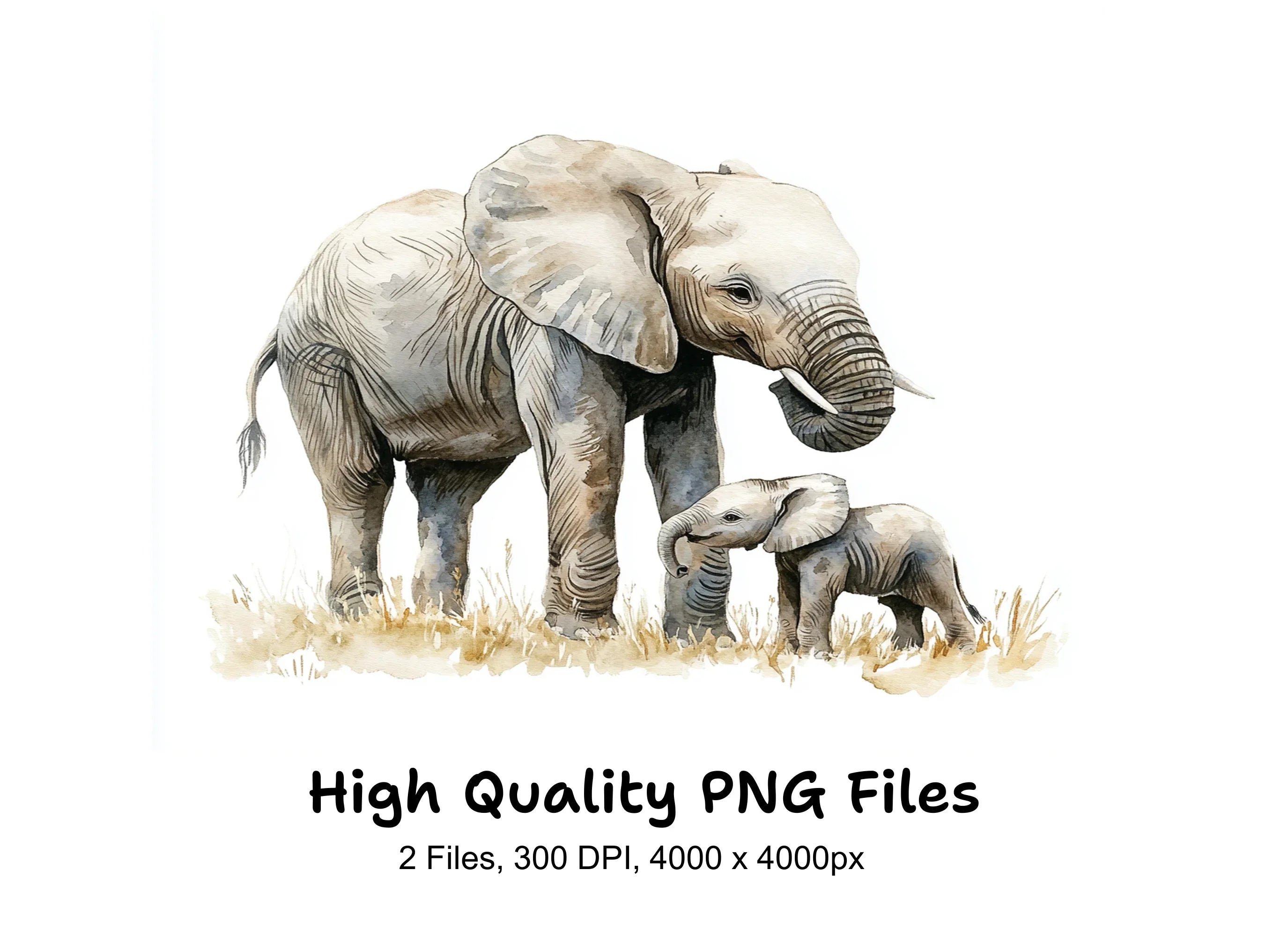 Elephant Mother and Baby Clipart Bundle