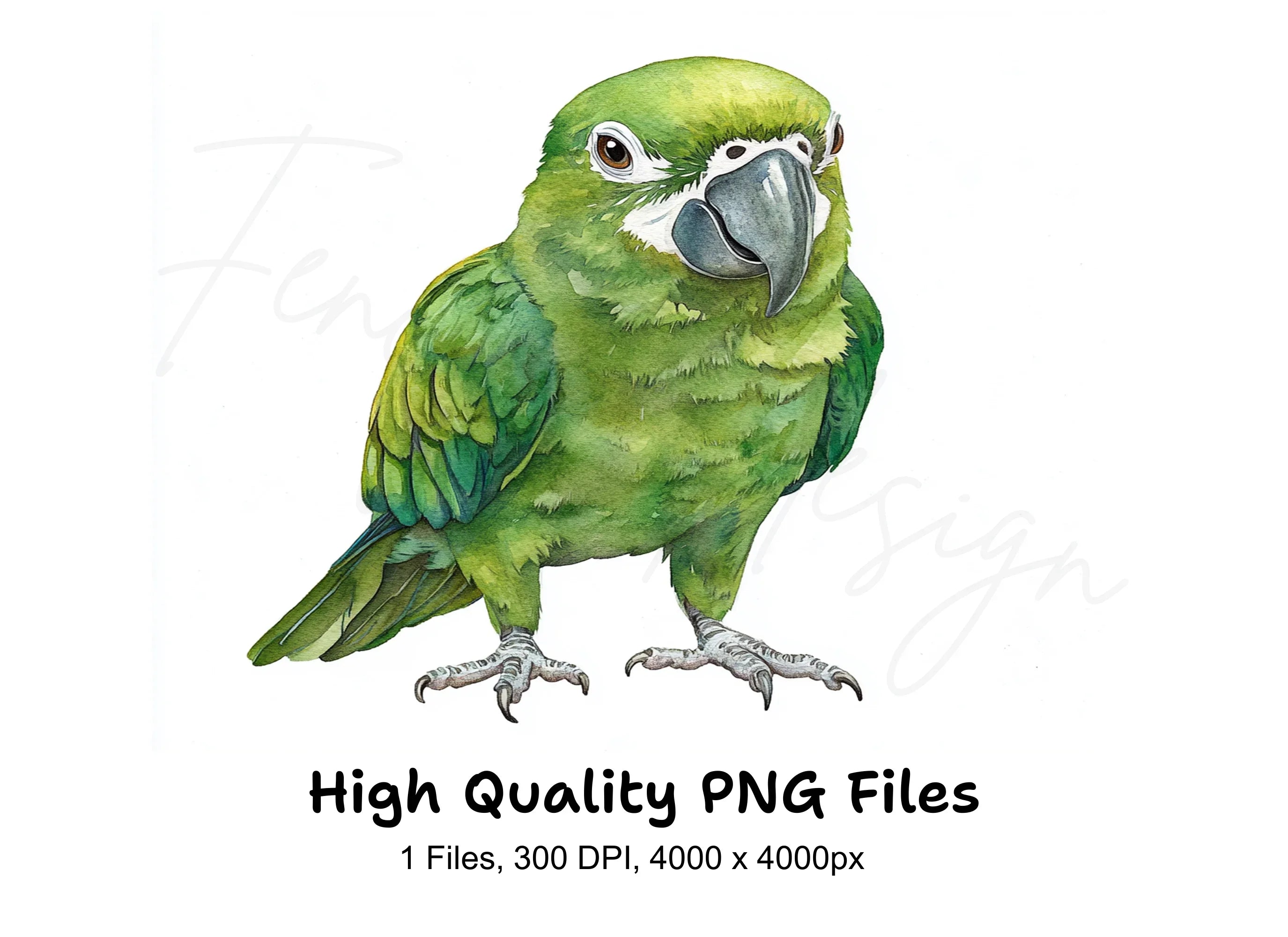 Green Parrot Clipart Bundle