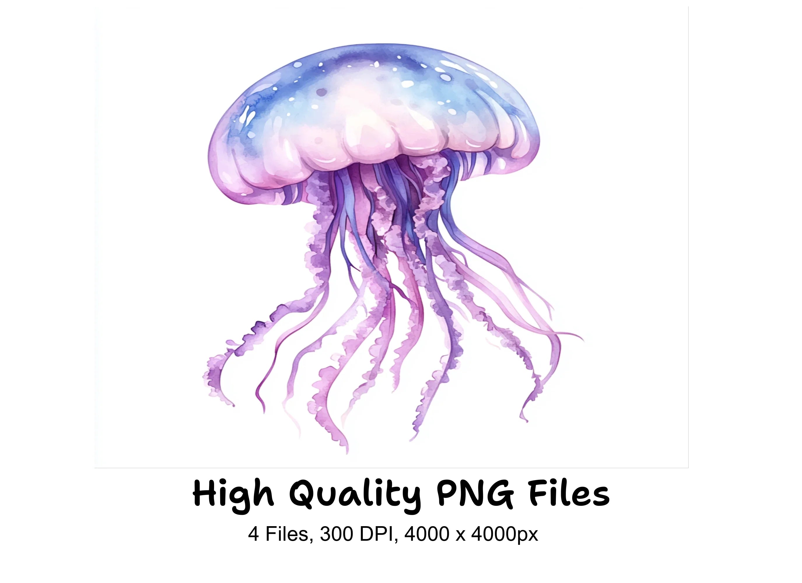 Jellyfish Clipart Bundle