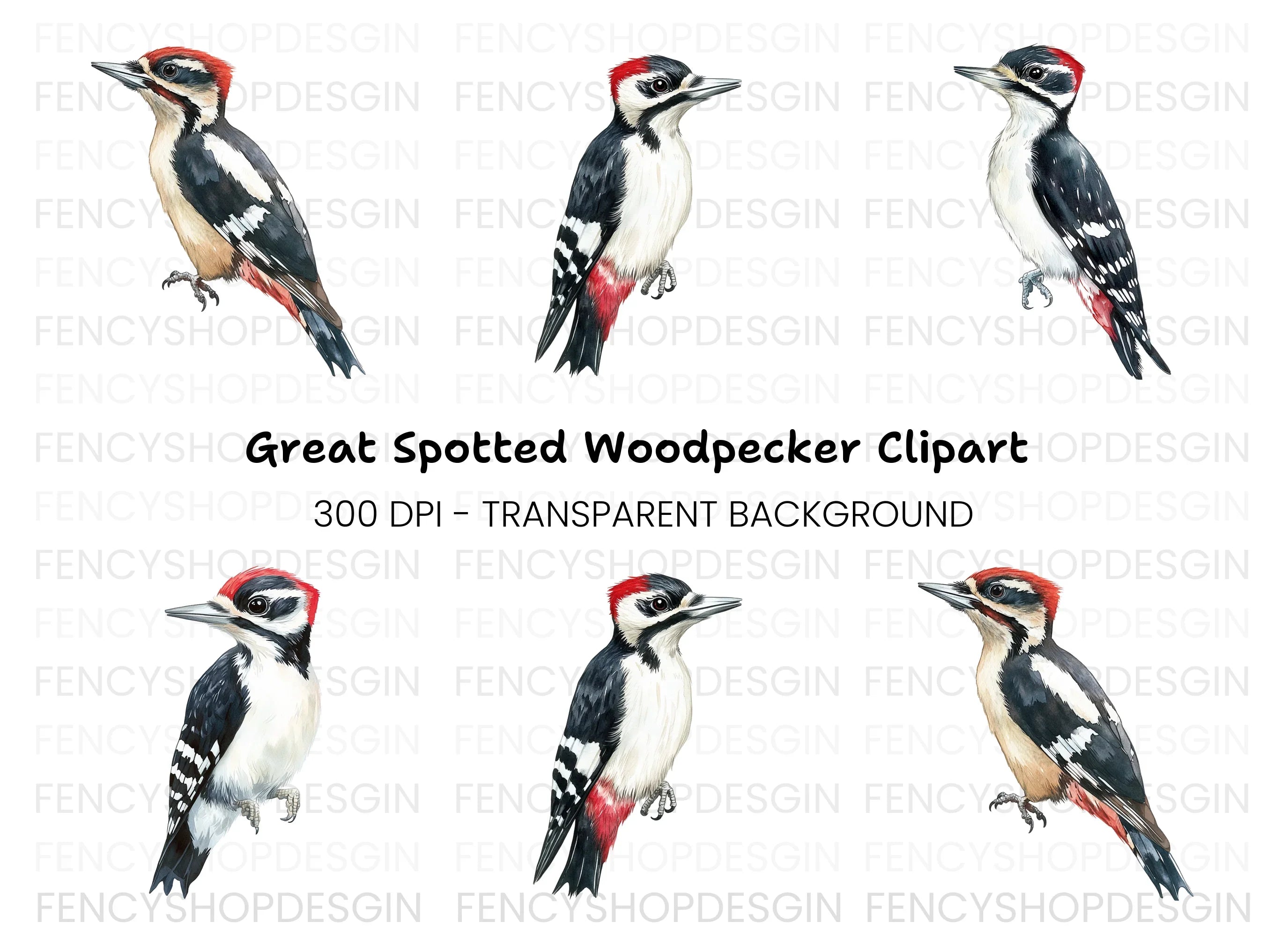 Woodpecker Clipart Bundle