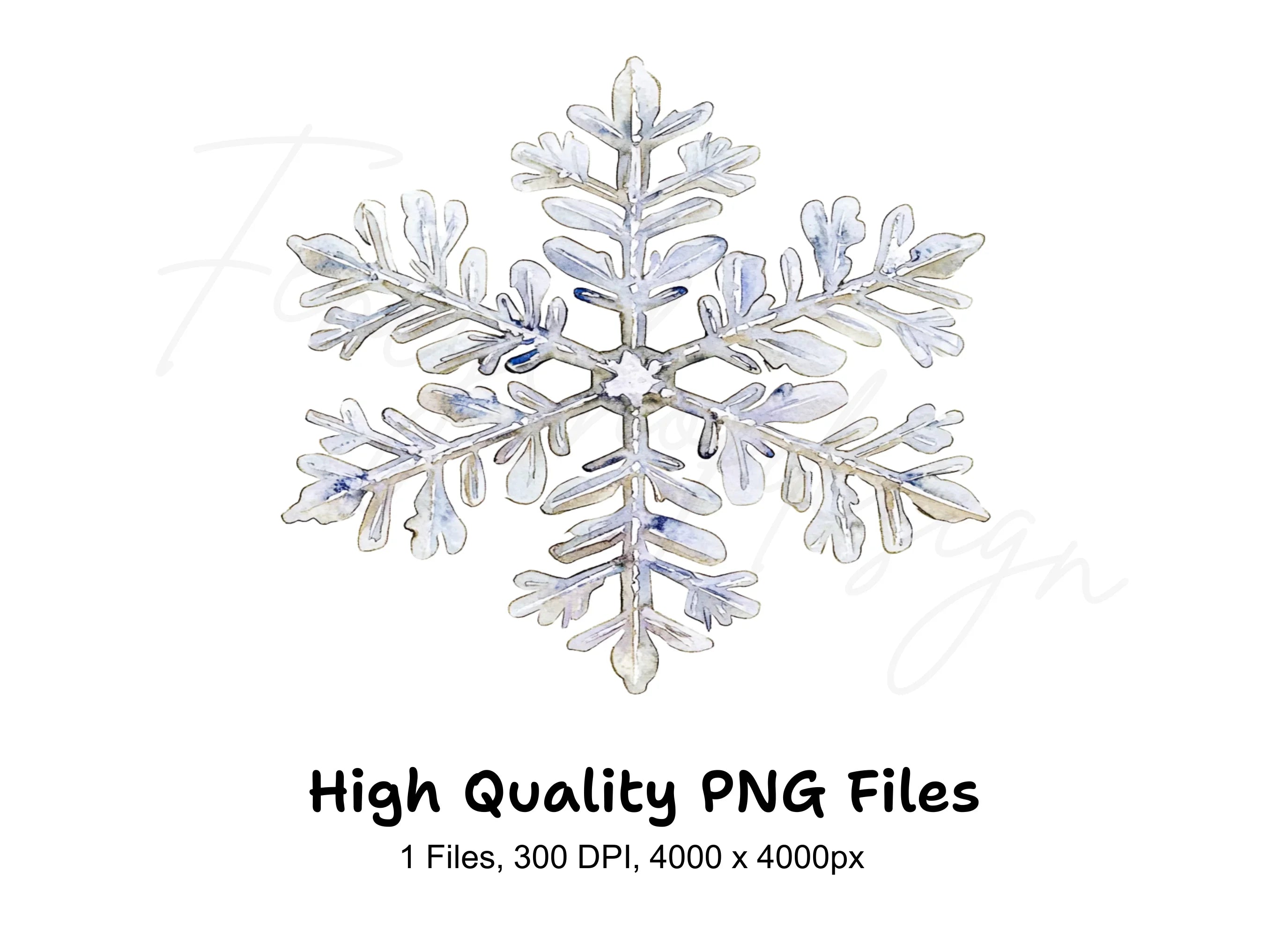 Snowflake Winter Clipart Bundle