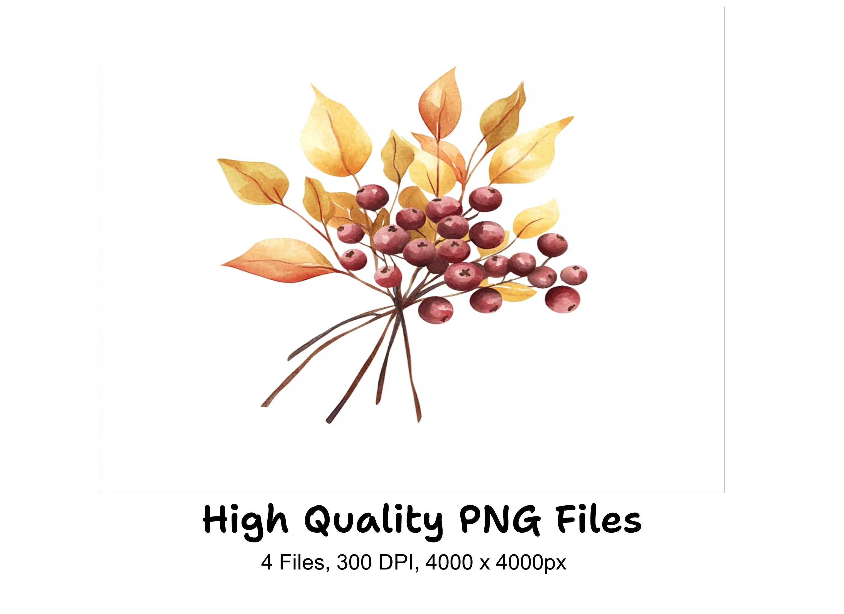 Autumn Berry Leaf Clipart Bundle