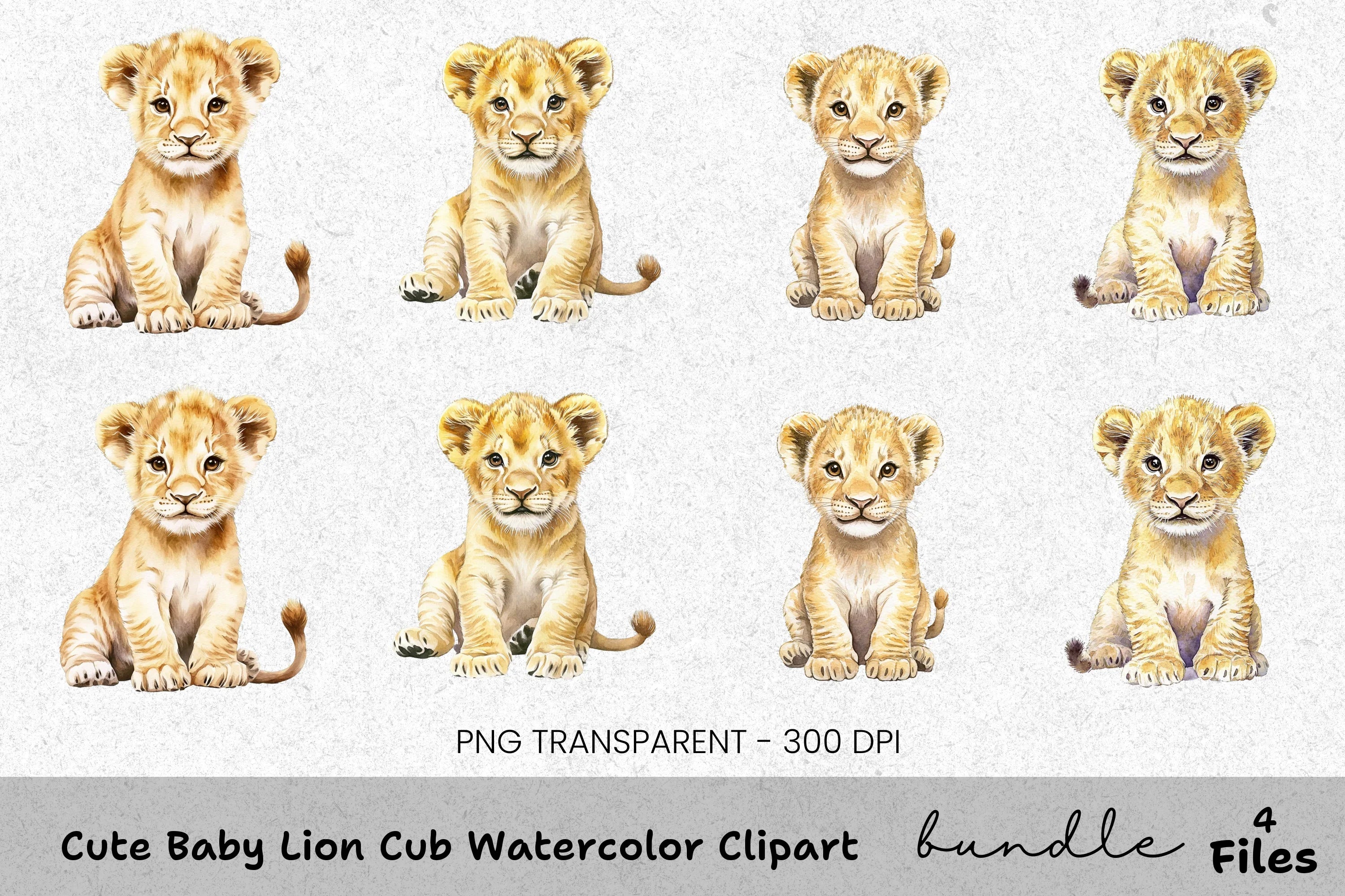Cute Baby Lion Cub Clipart Bundle