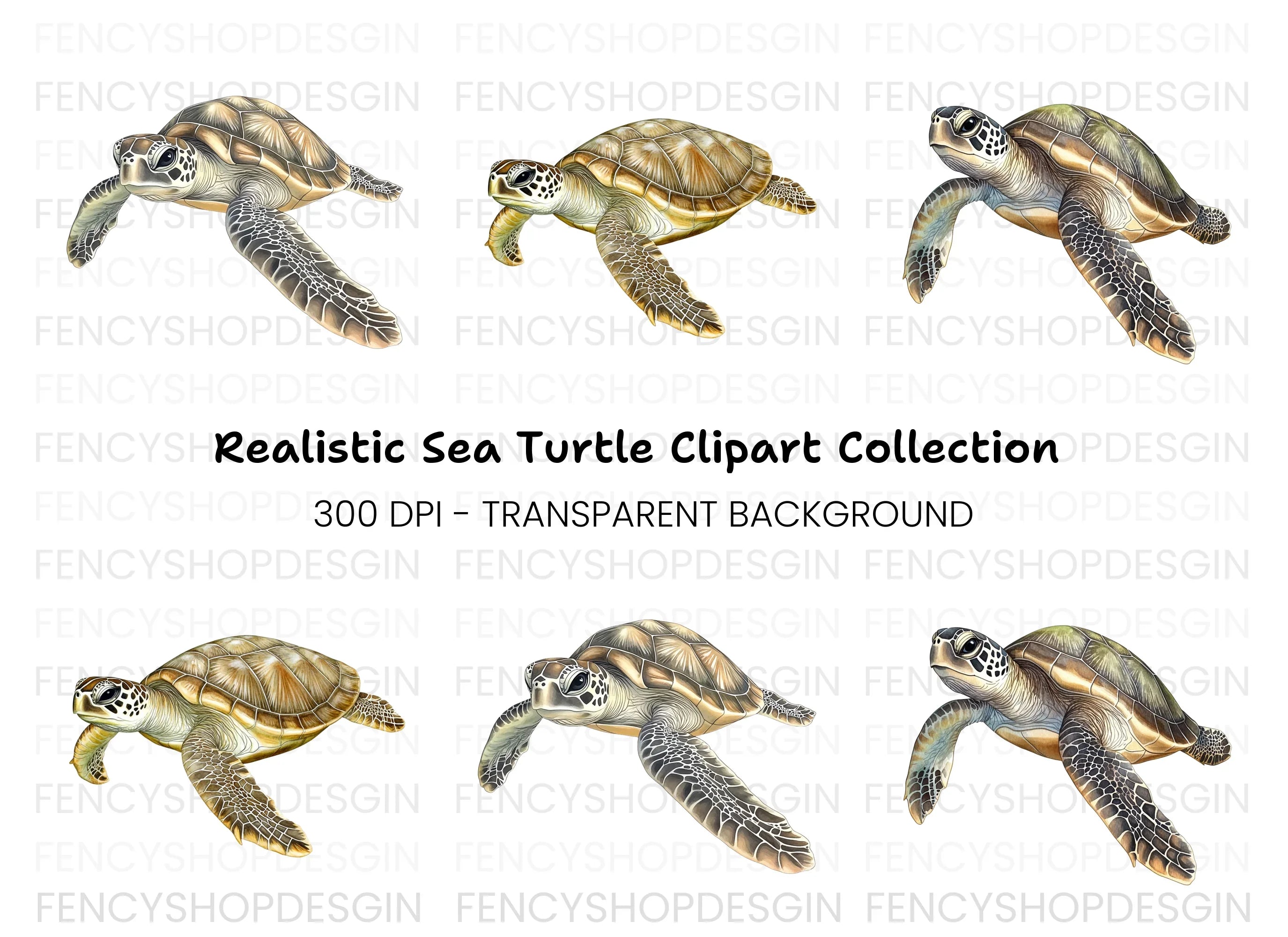 Green Sea Turtle Clipart Bundle