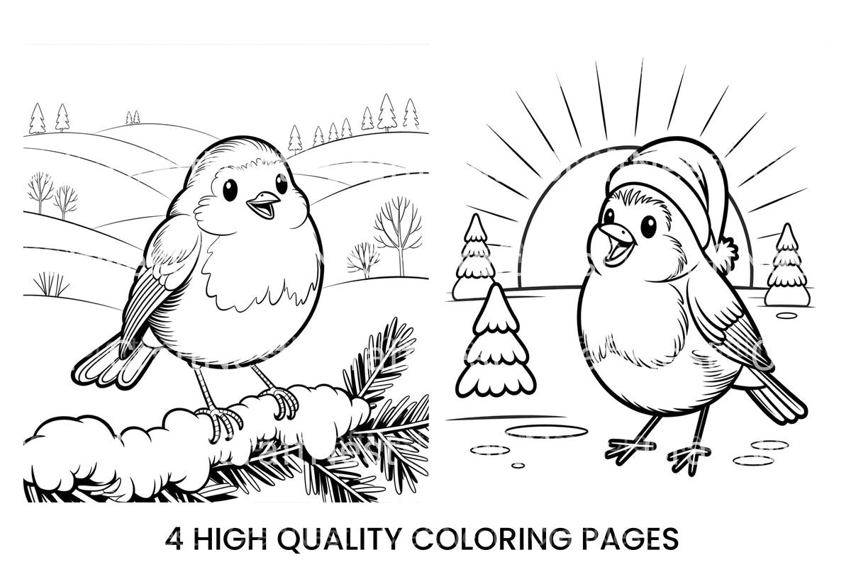Cute Winter Birds Coloring Books