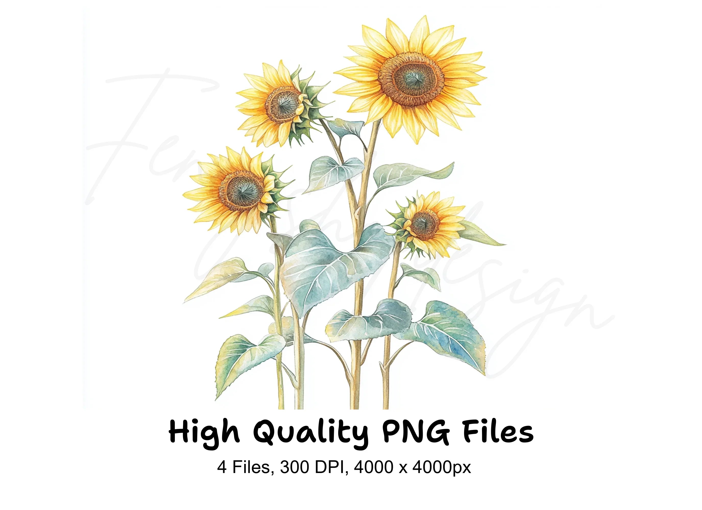 Sunflower Clipart Bundle