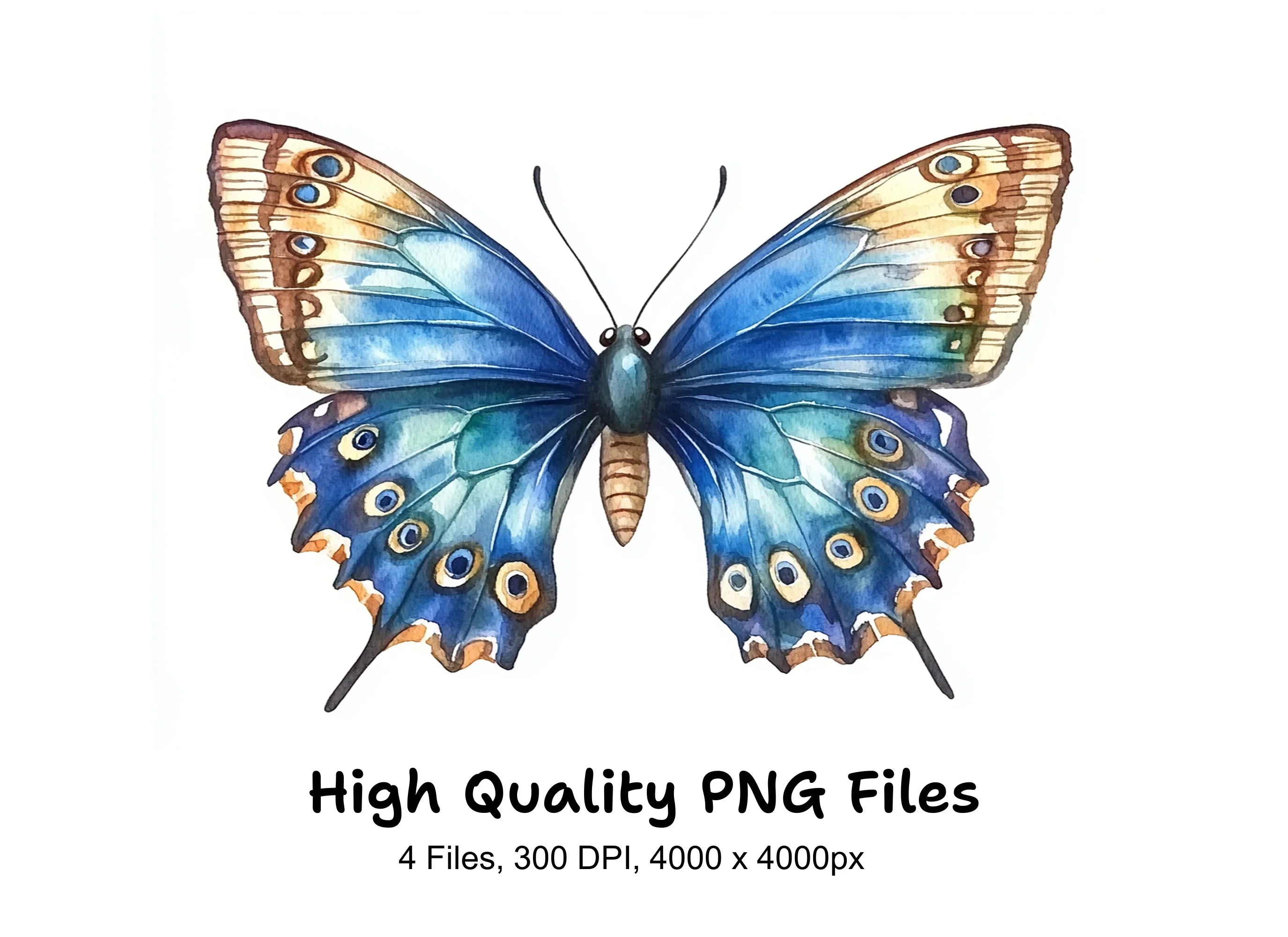 Butterfly Clipart Bundle