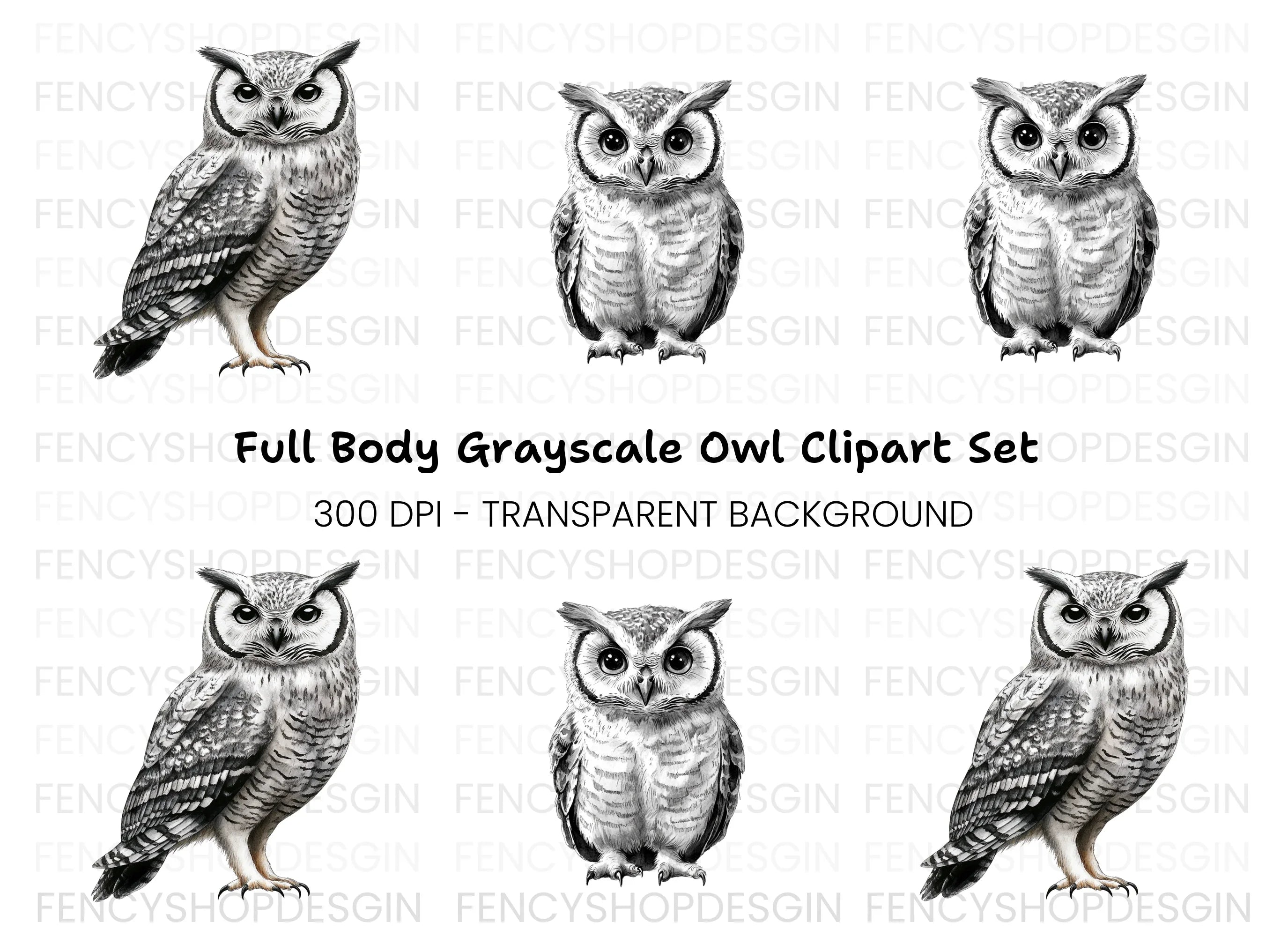 Wise Owl Clipart Bundle
