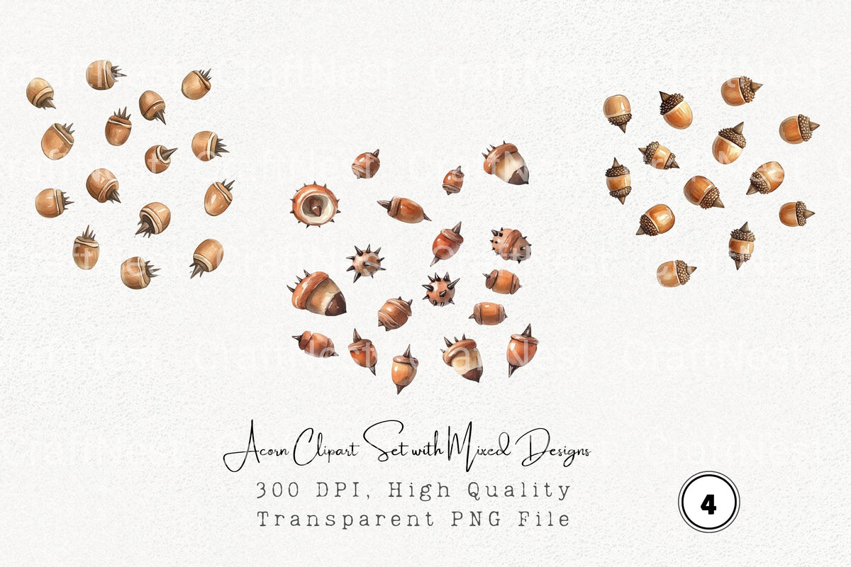 Acorn With Mixed Designs Clipart Bundle