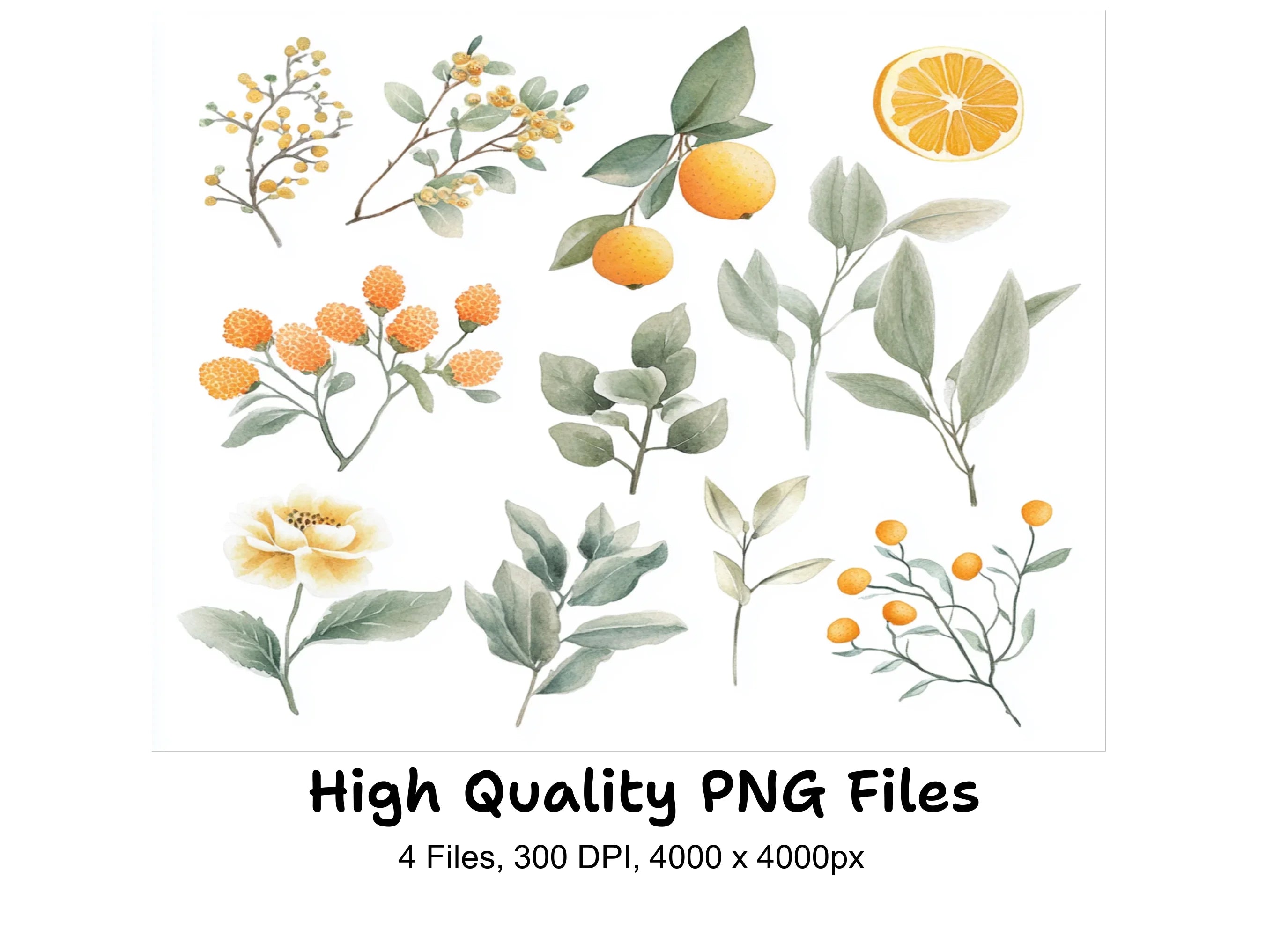Citrus Greenery Clipart Bundle