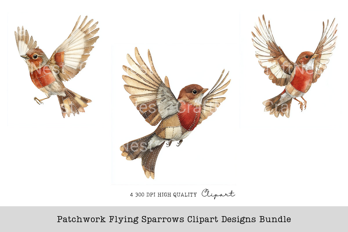 Patchwork Flying Sparrows Designs Clipart Bundle