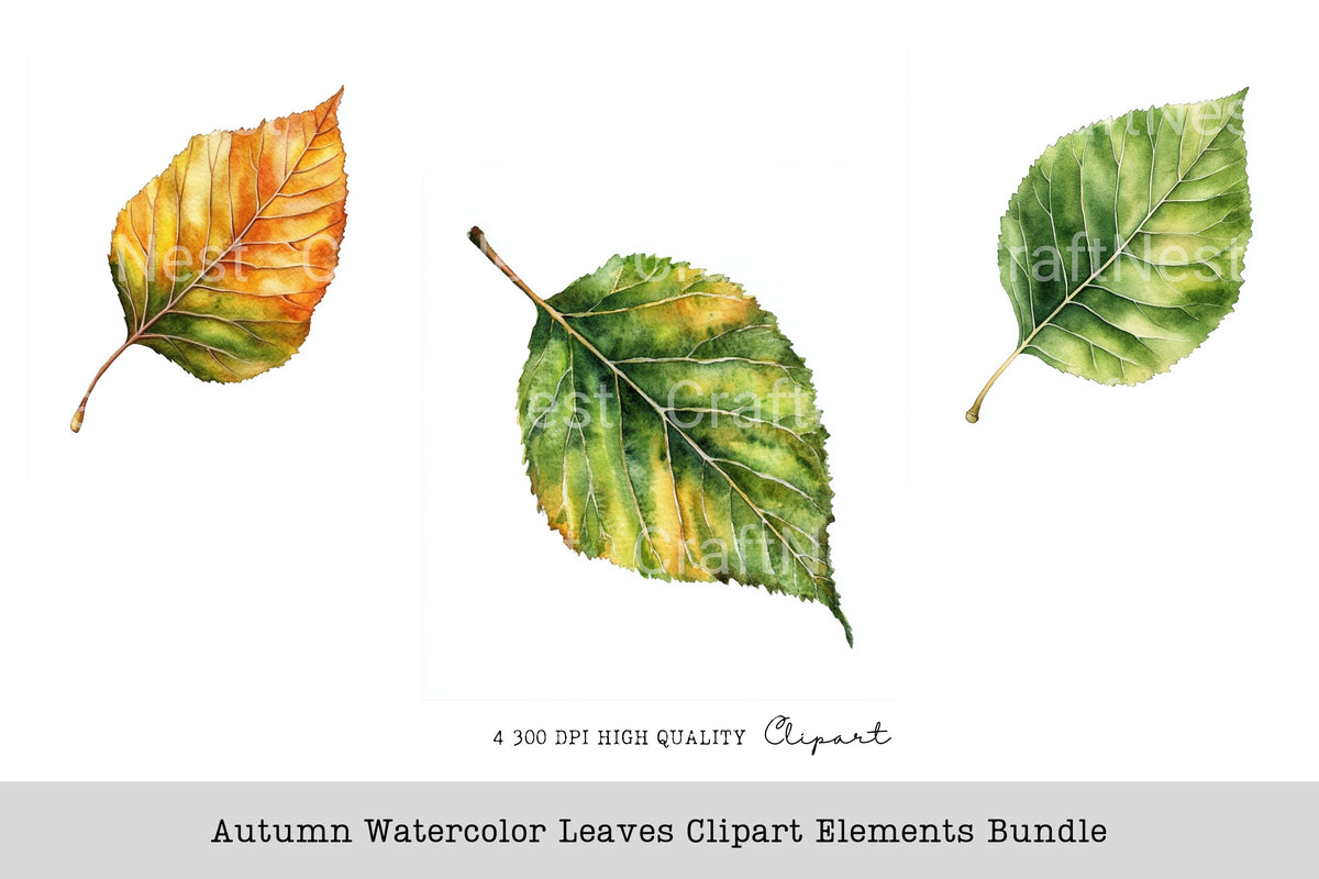 Autumn Leaves Elements Clipart Bundle