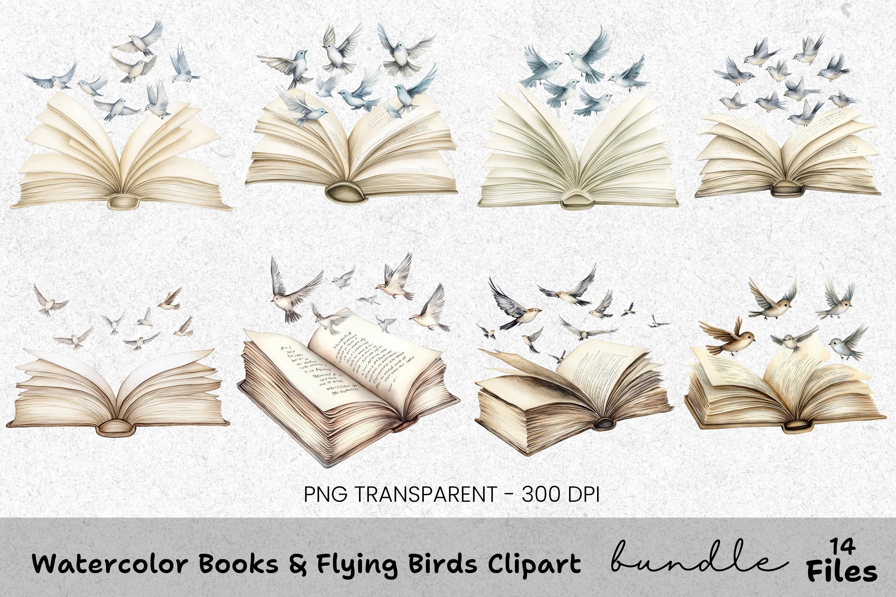 Flying Birds Clipart Bundle