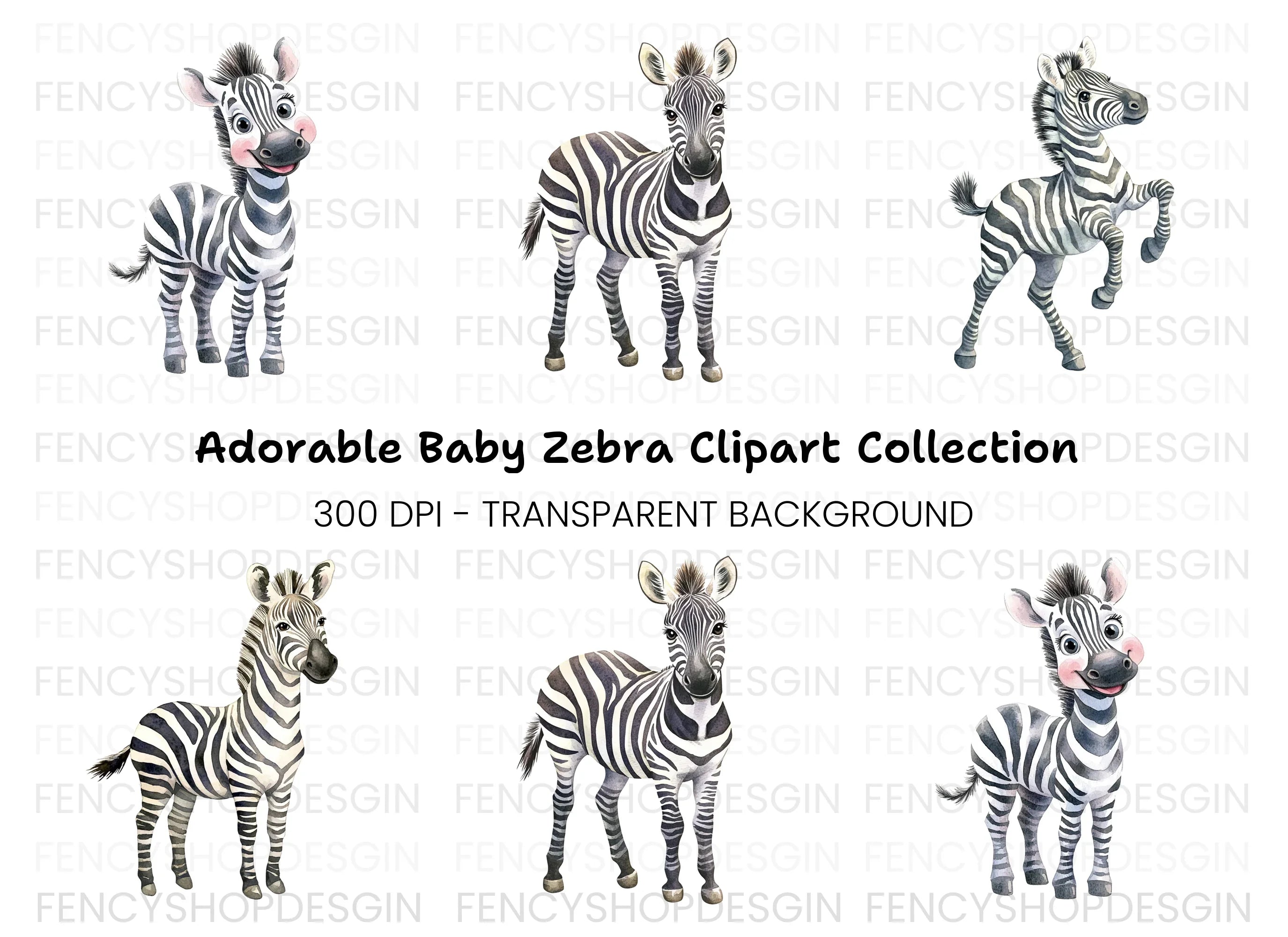 Adorable Zebra Clipart Bundle