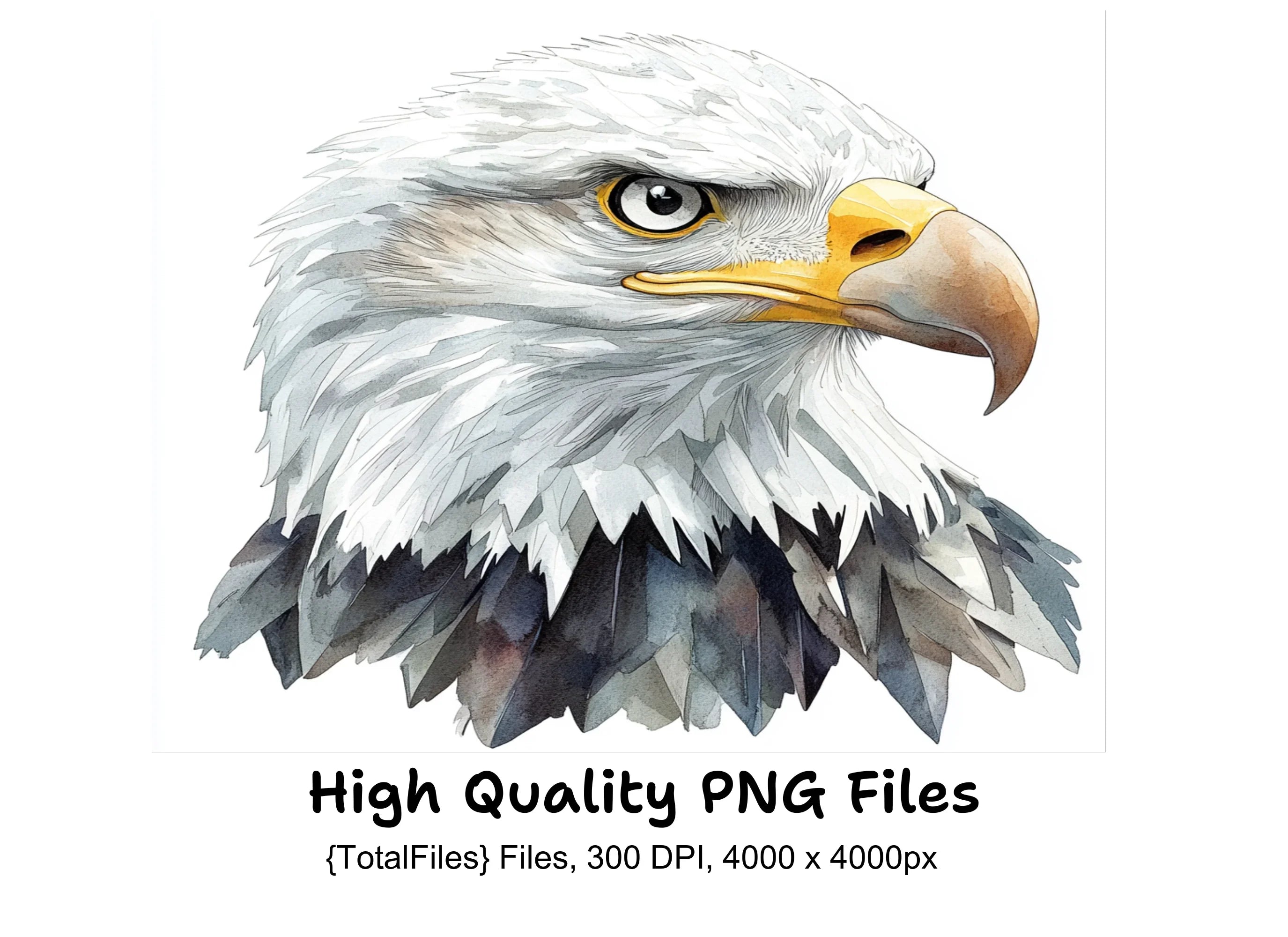 Majestic Bald Eagle Head Clipart Bundle
