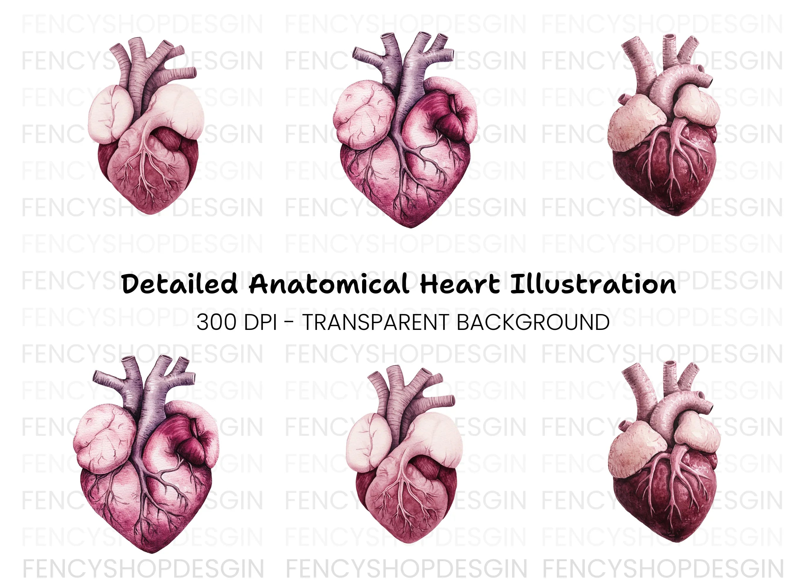Realistic Human Heart Clipart Bundle
