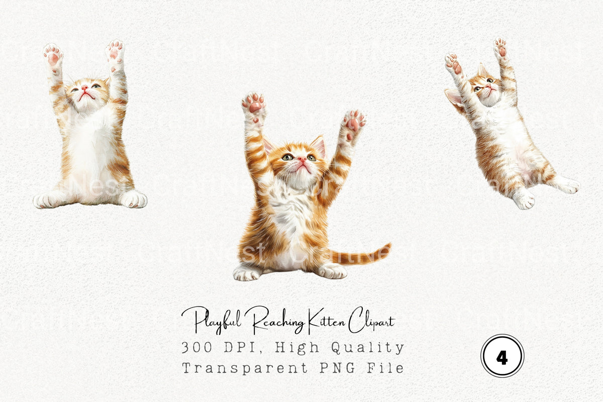 Playful Reaching Kitten Clipart Bundle