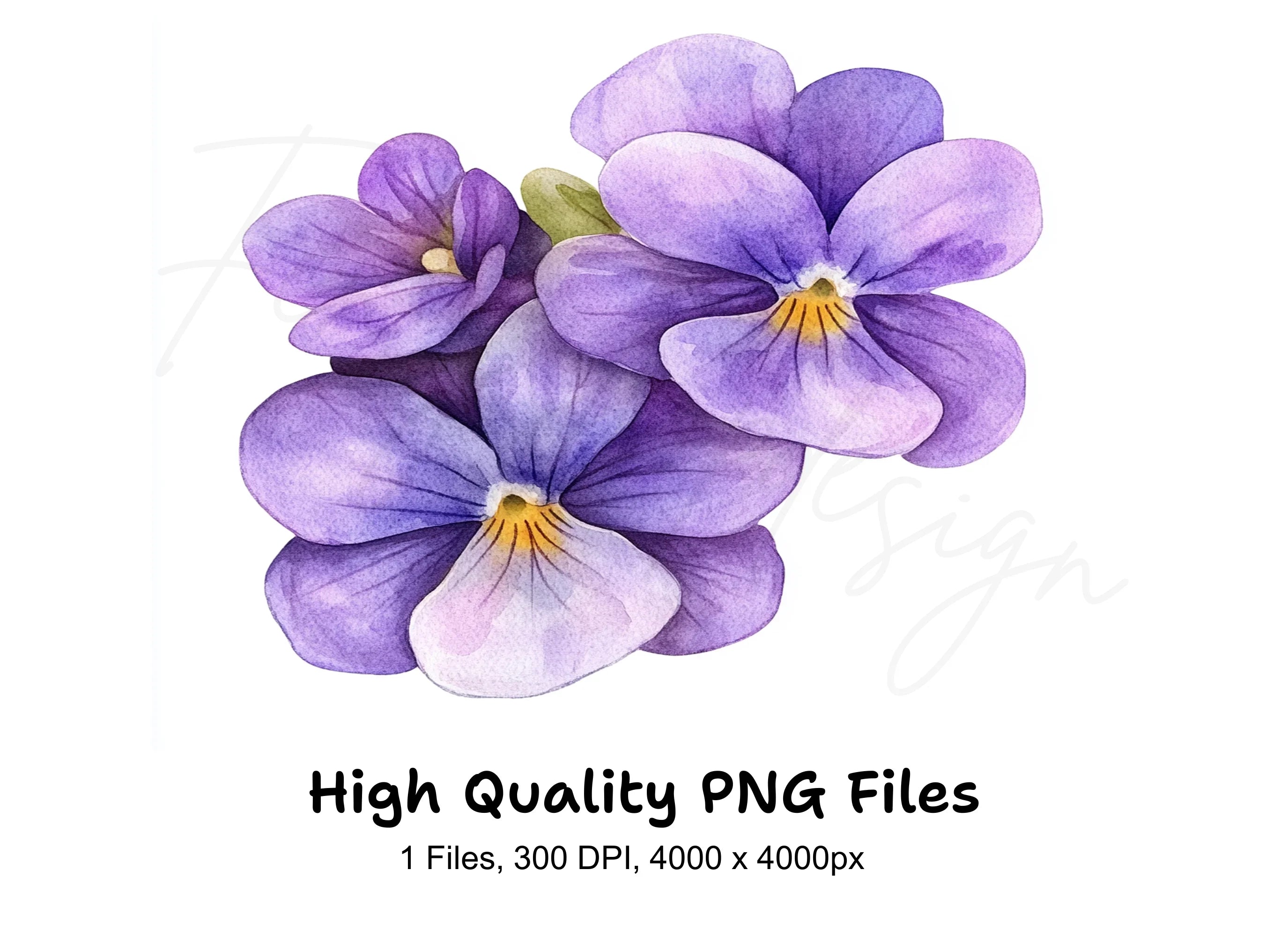 Purple Pansy Clipart Bundle