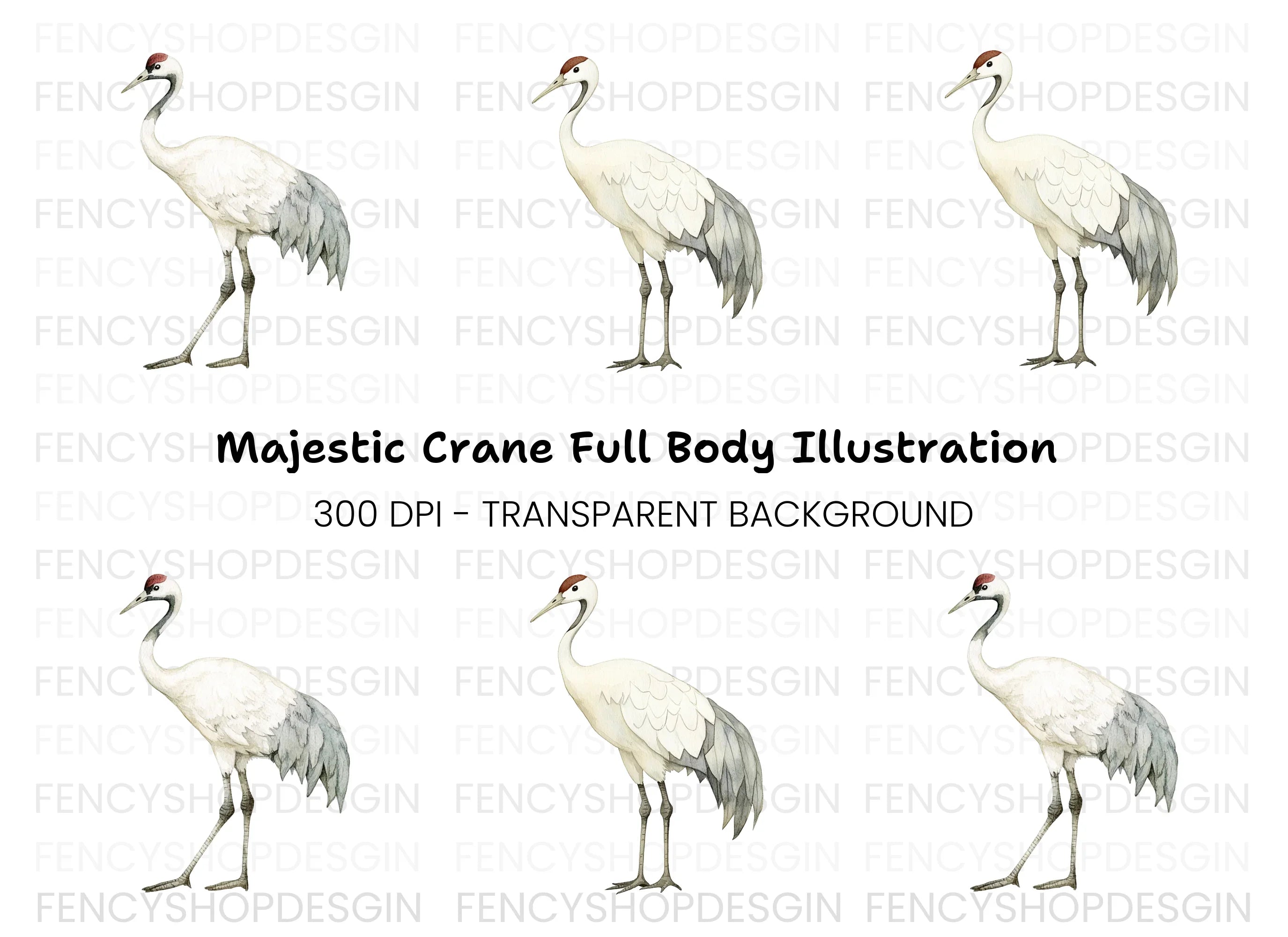 Body Crane Bird Clipart Bundle