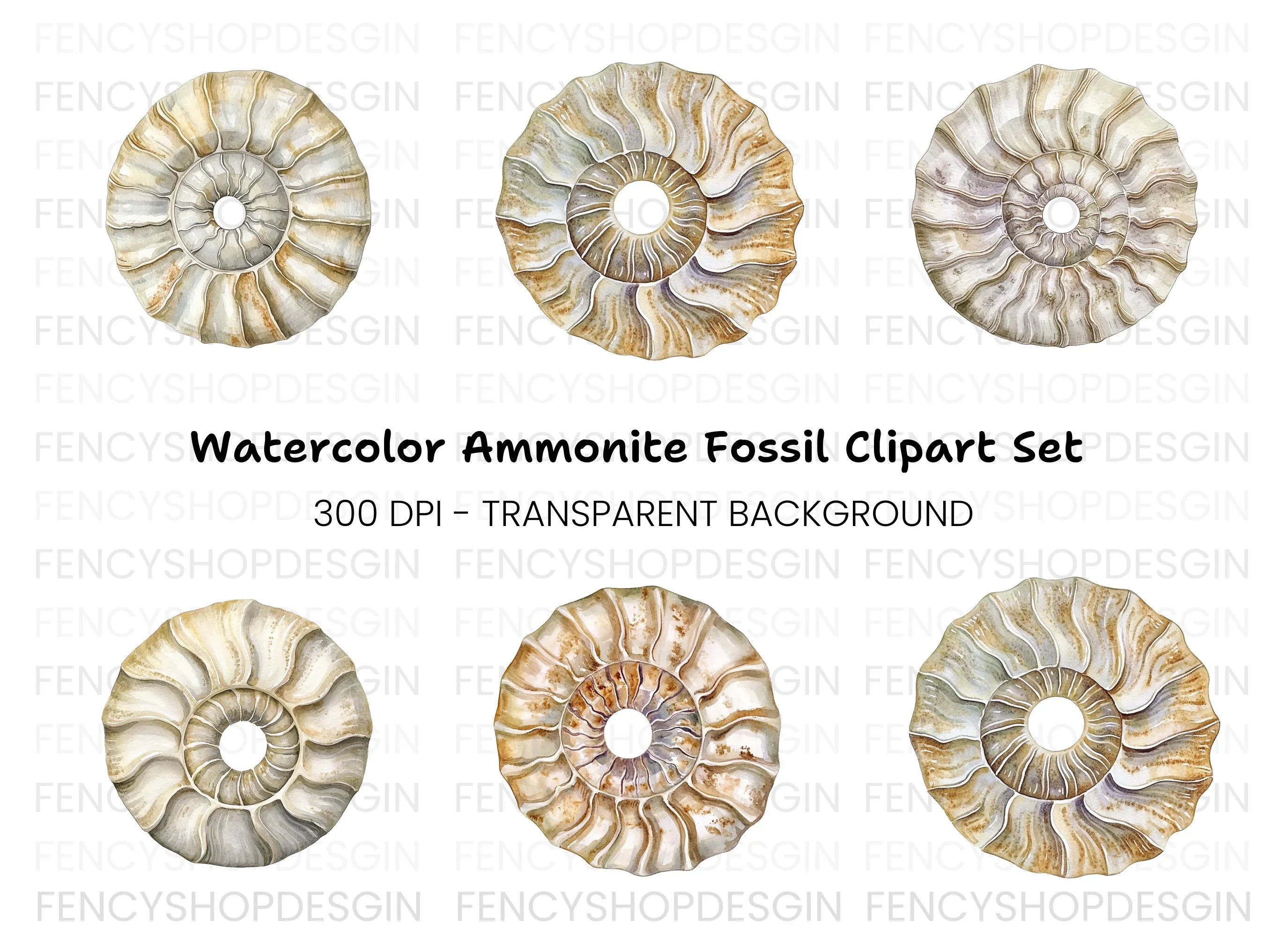 Vintage Ammonite Shell Clipart Bundle