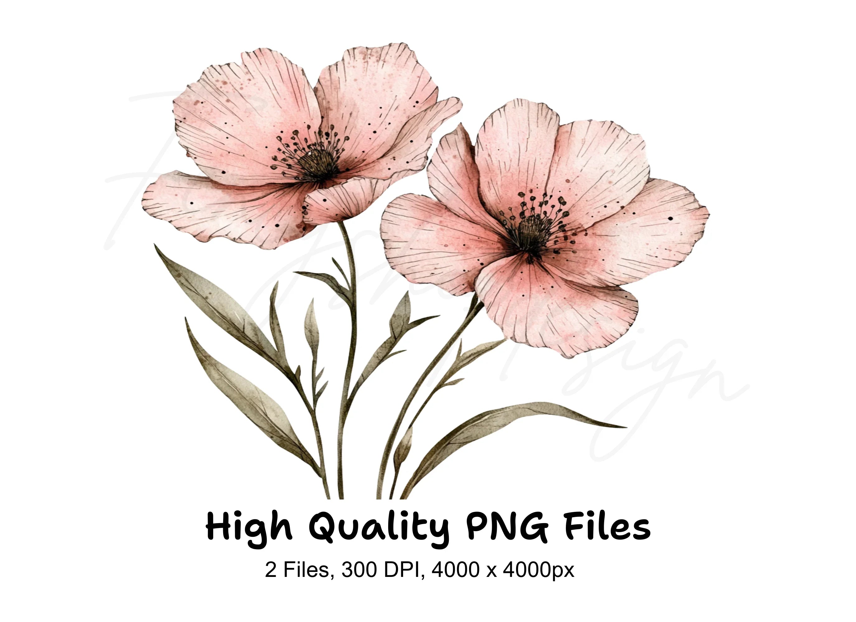 Delicate Pink Flower Clipart Bundle